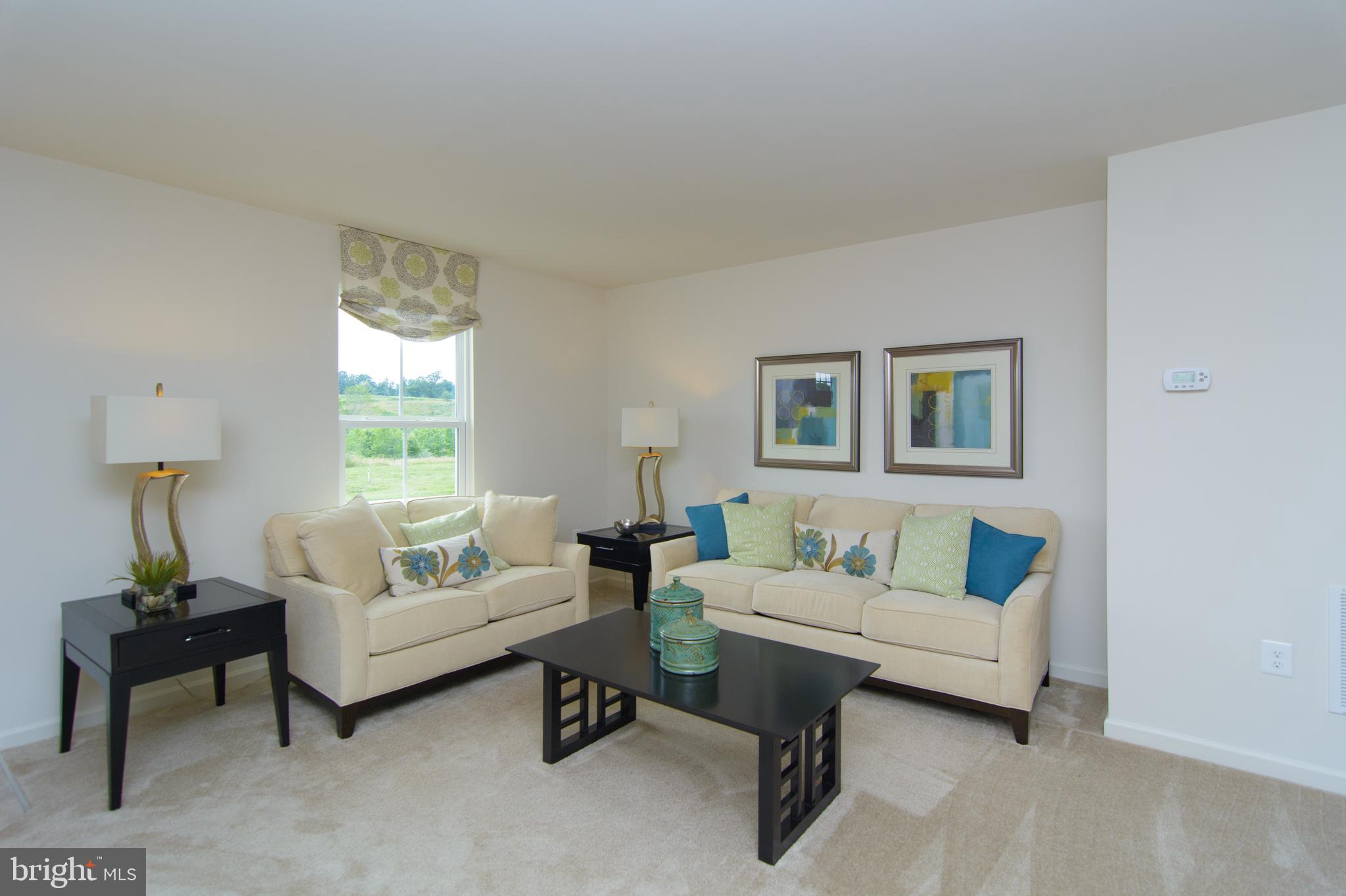 WILLOW WOODS - Residential