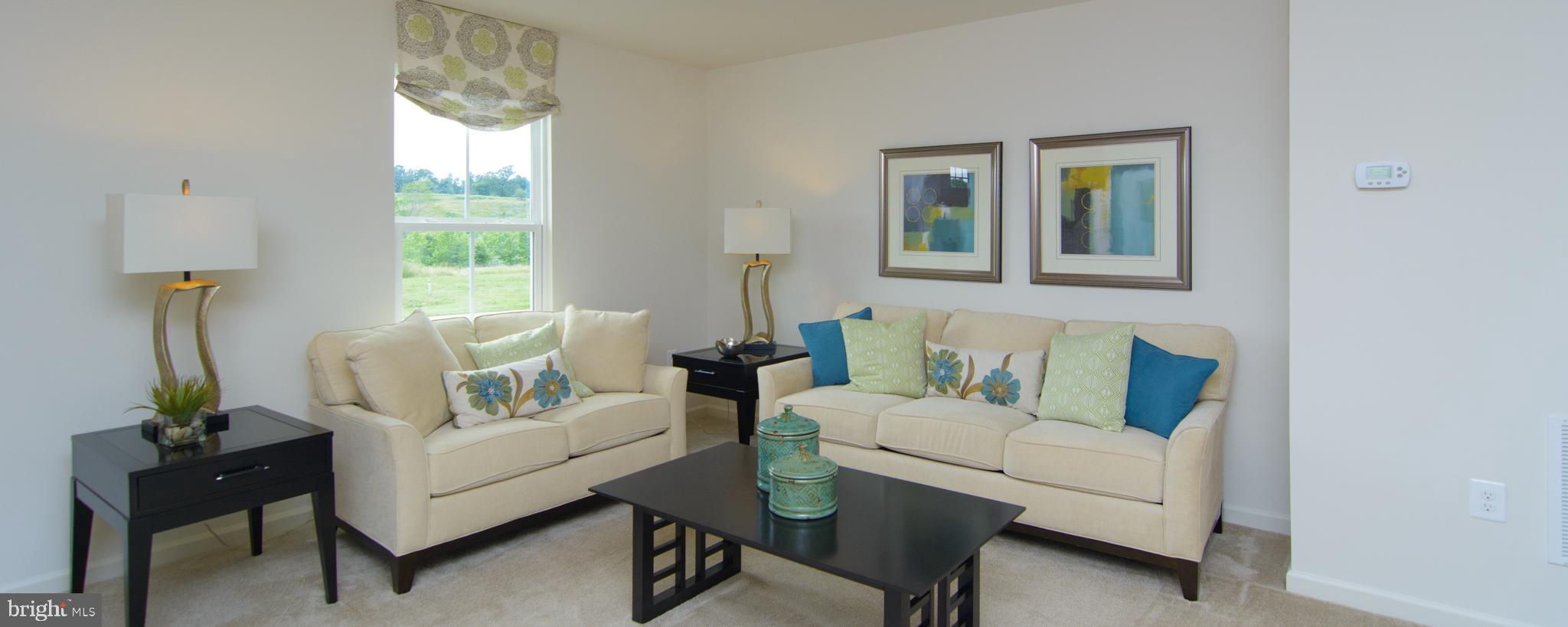 WILLOW WOODS - Residential