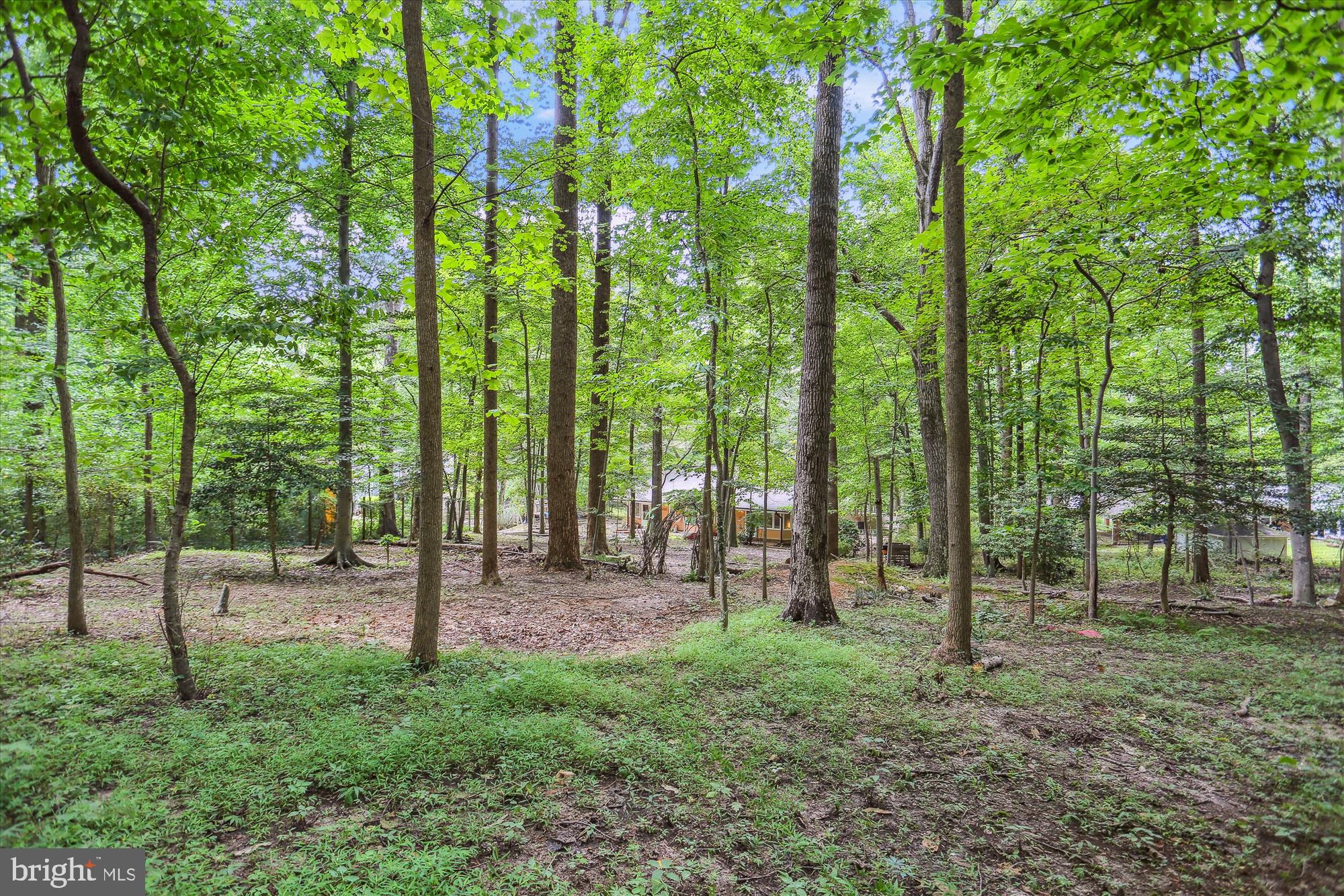 SPRINGBROOK FOREST - Residential