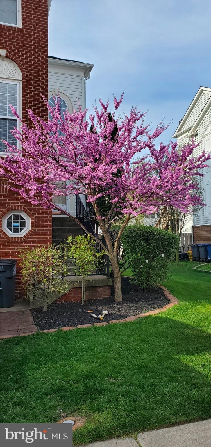 WESTMARKET - Residential Lease