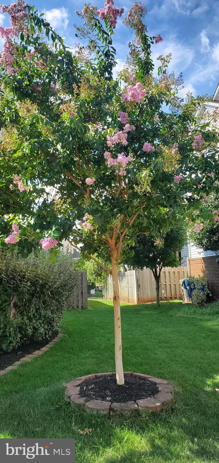 WESTMARKET - Residential Lease