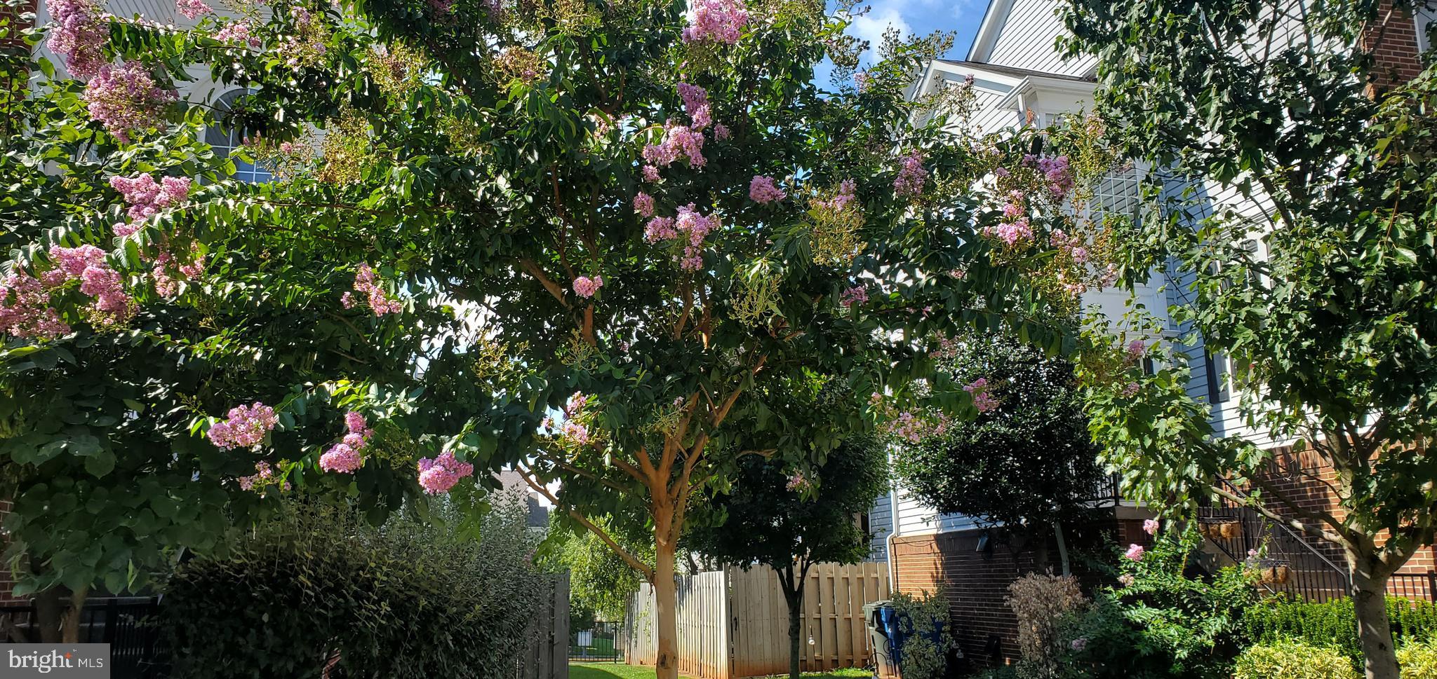 WESTMARKET - Residential Lease