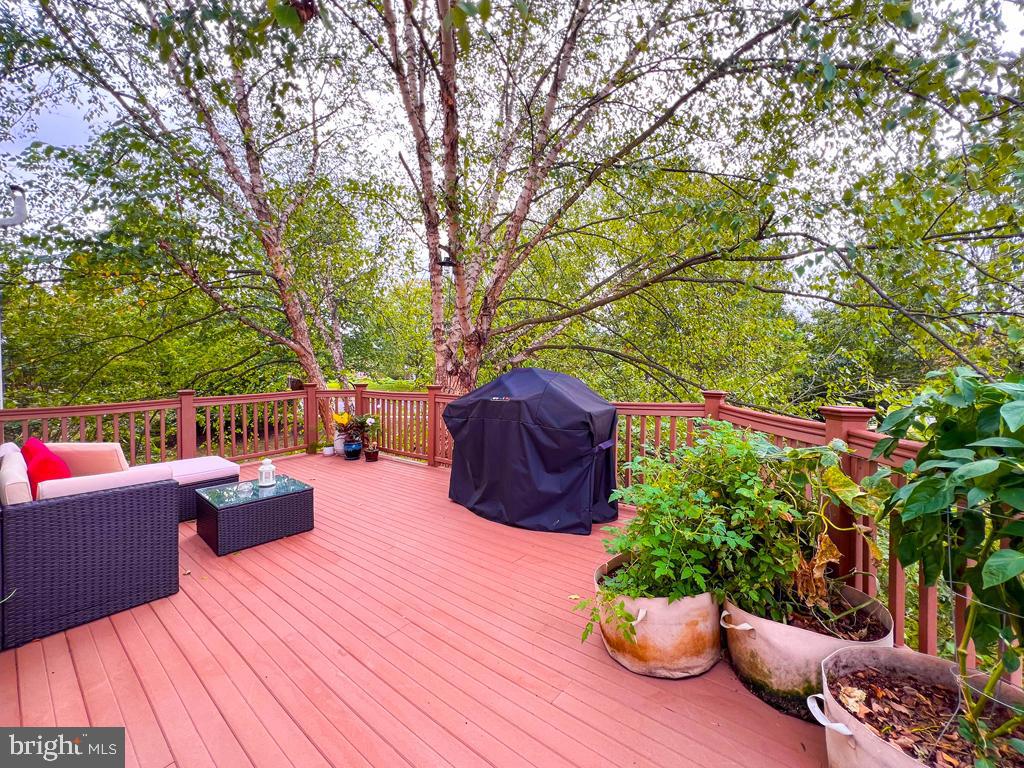 DOYLESTOWN STATION - Residential