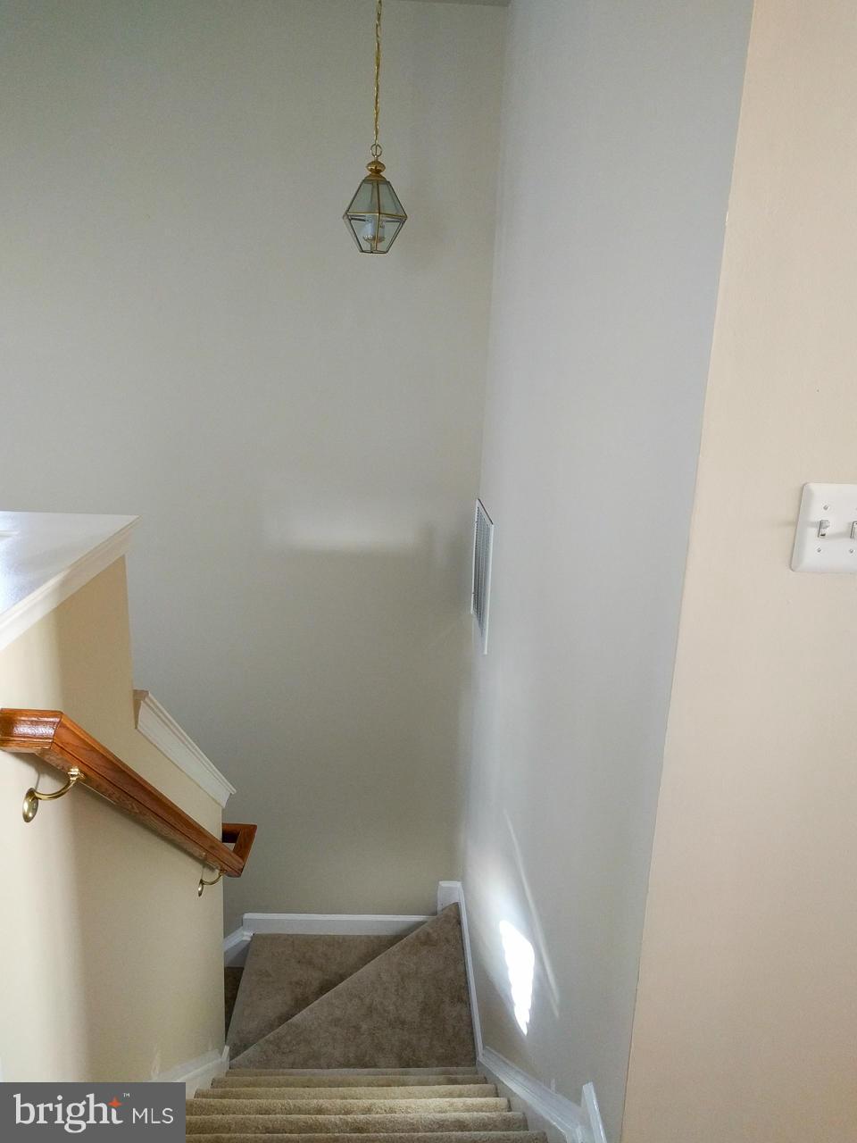 TOWN CENTER AT CAMP SPRINGS - Residential Lease