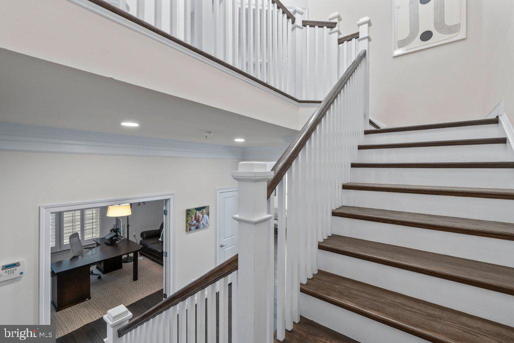 MAPLE LAWN - Residential