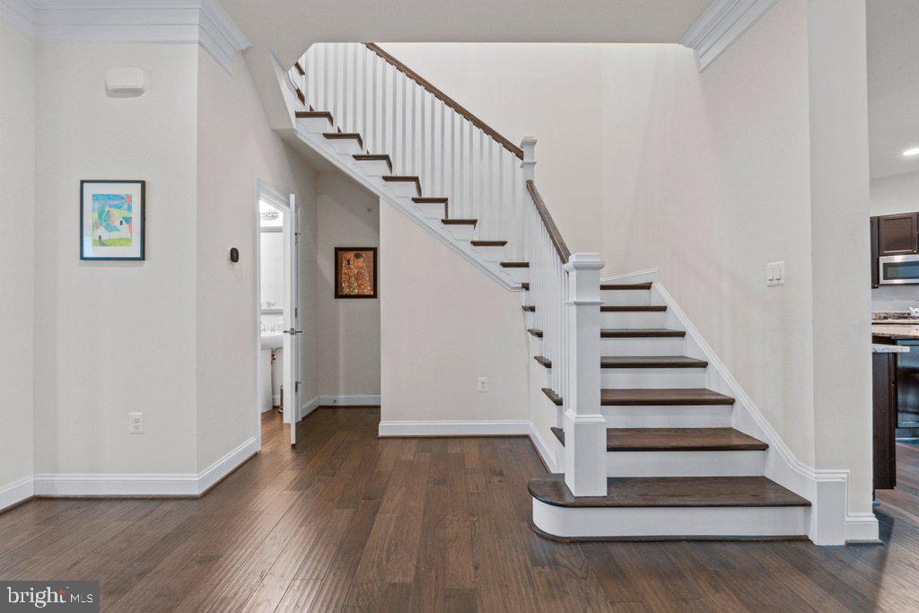 MAPLE LAWN - Residential