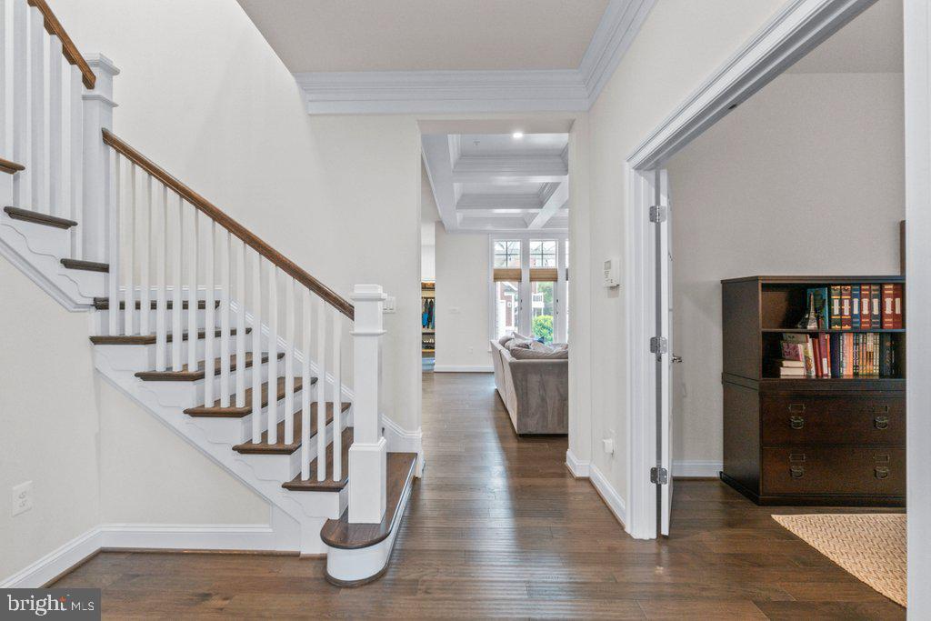 MAPLE LAWN - Residential