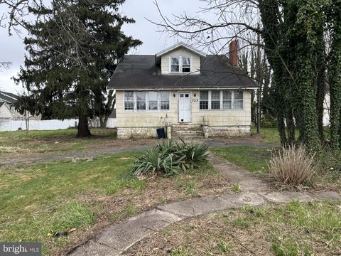 723 CHESTNUT STREET MILTON DE 19968