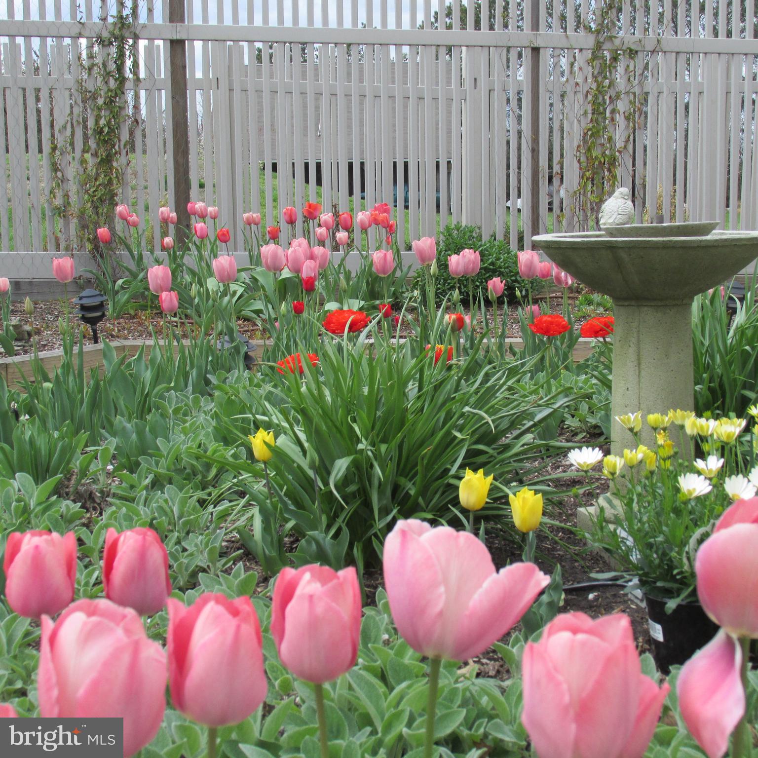 LITTLE NECK FARM - Residential