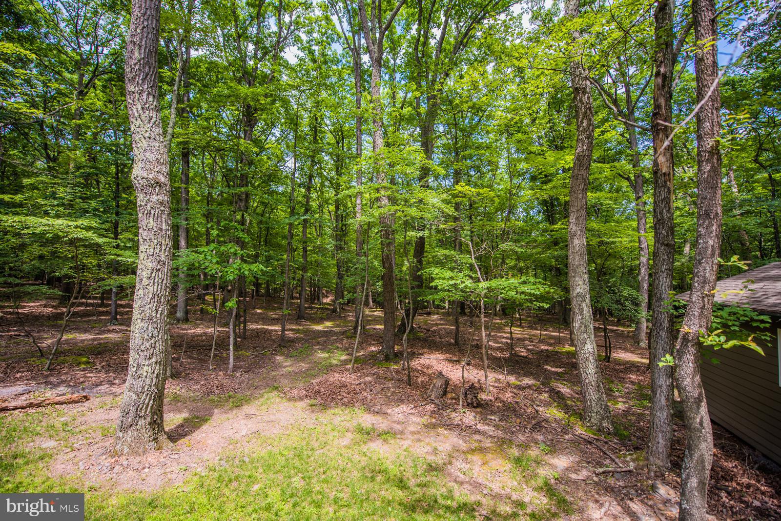 RIVER RIDGE - Residential