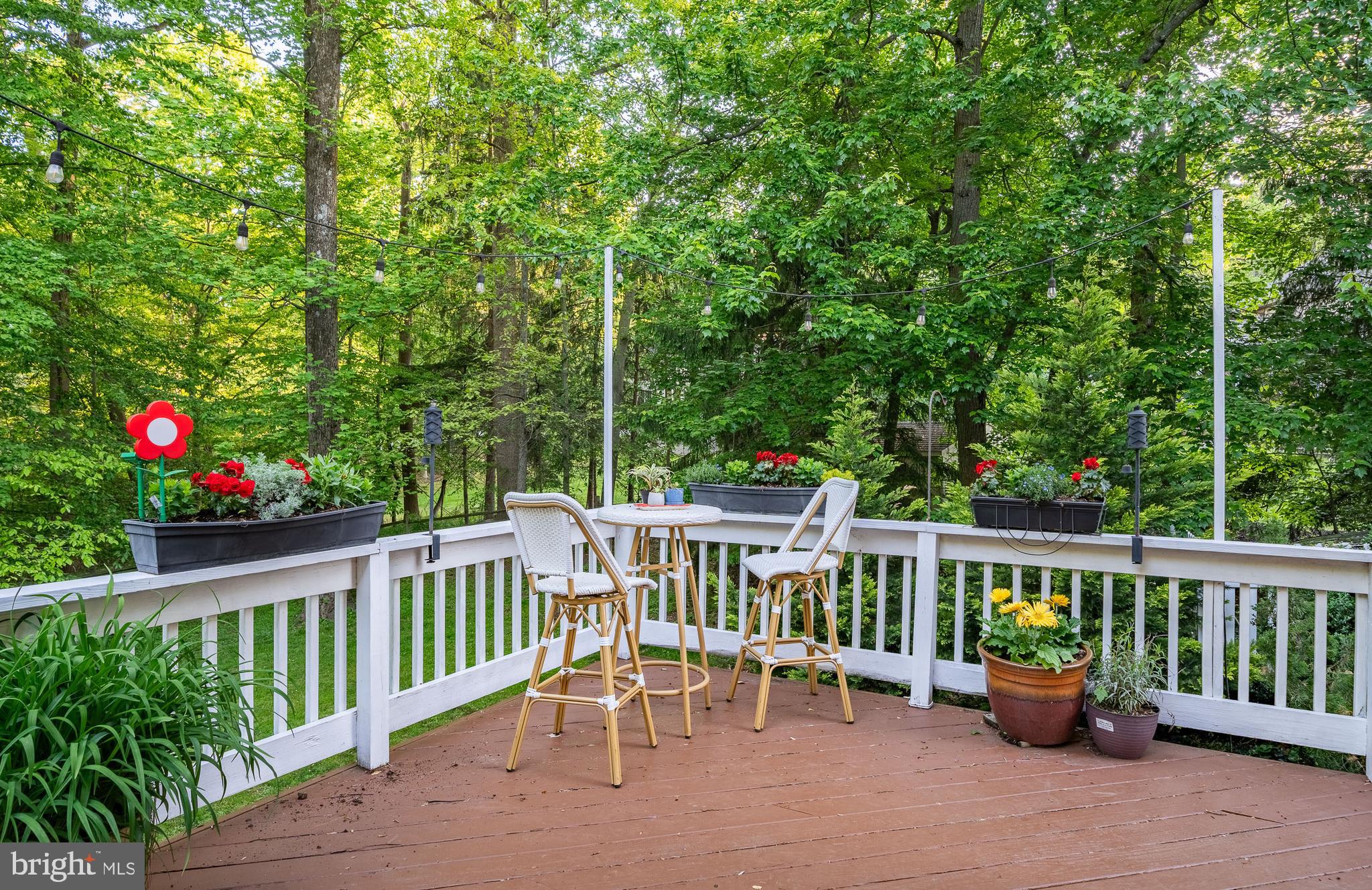 BRANDYWINE RIDGE - Residential