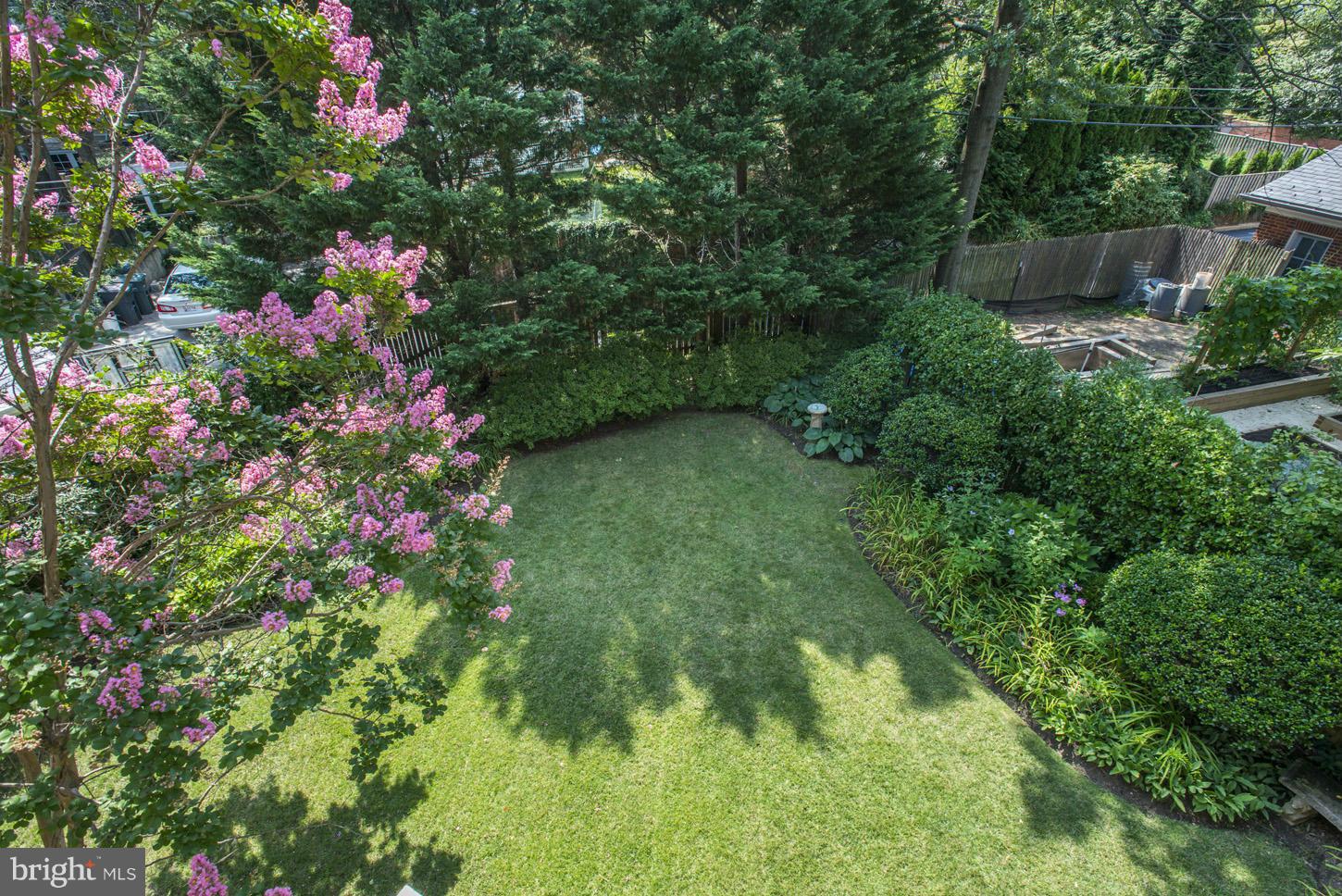 CHEVY CHASE - Residential