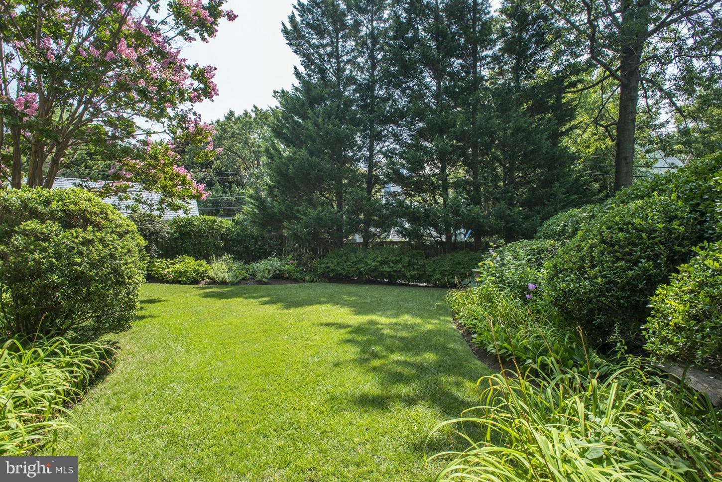 CHEVY CHASE - Residential