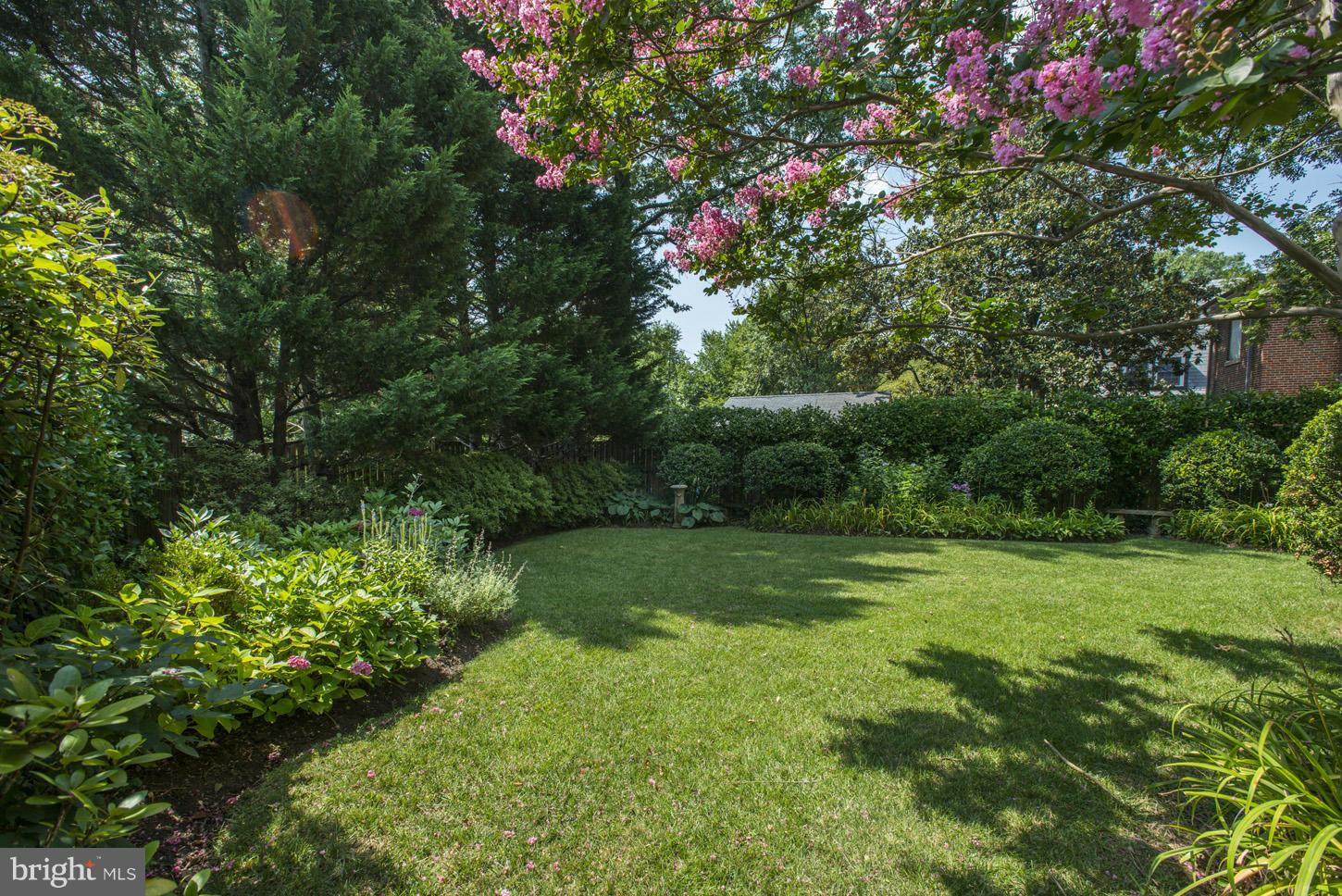 CHEVY CHASE - Residential