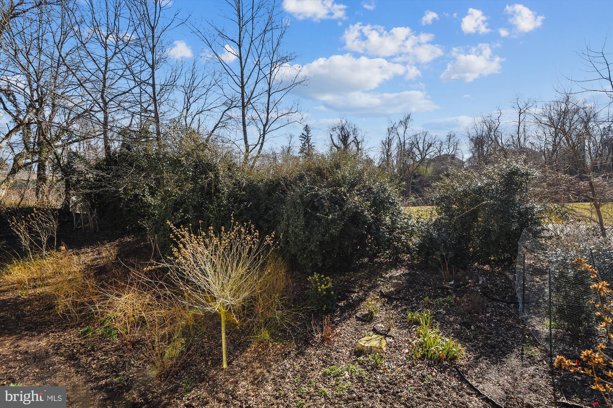 ARLINGWOOD - Residential