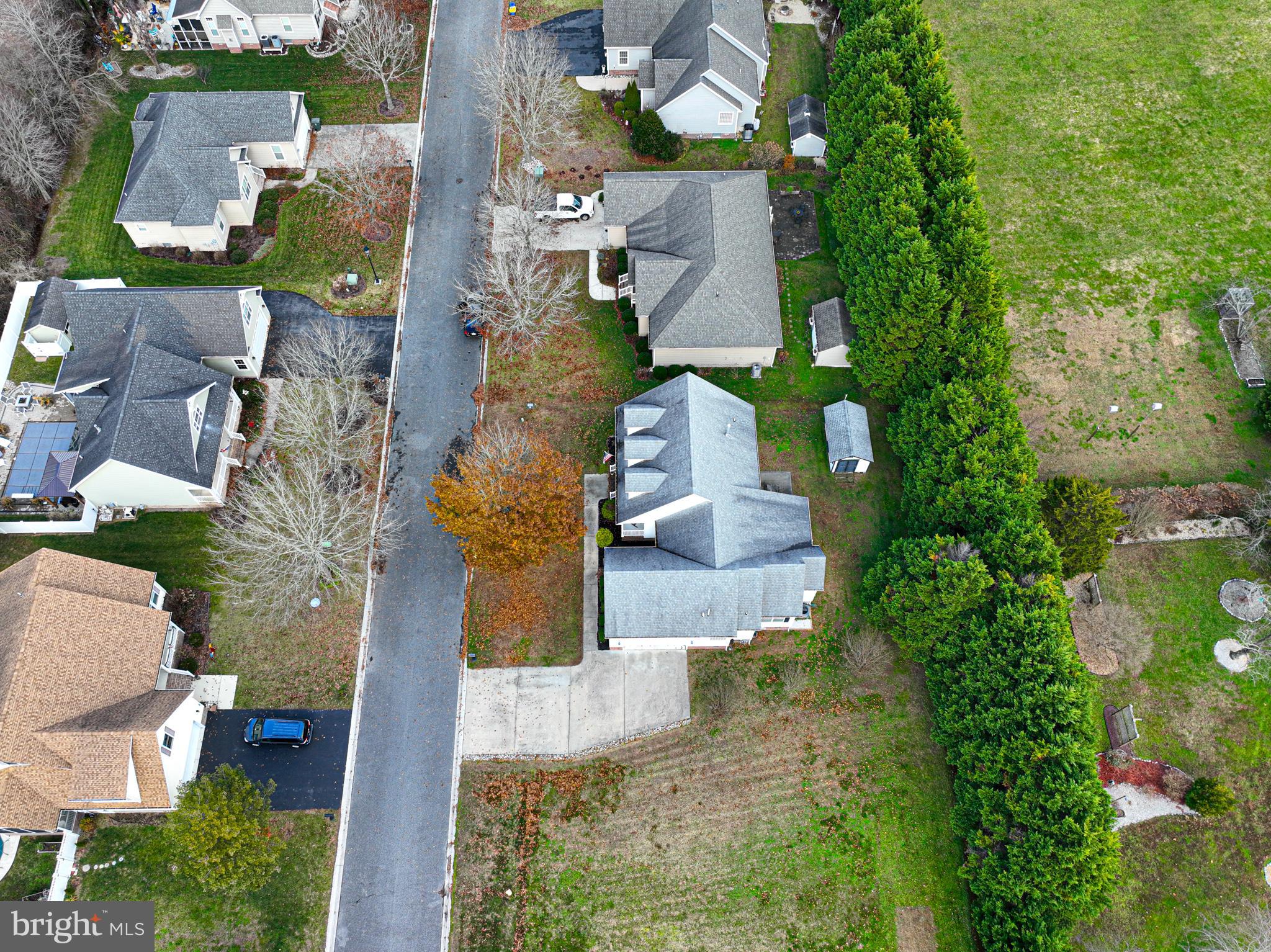 BUTTERCUP COURT - Residential