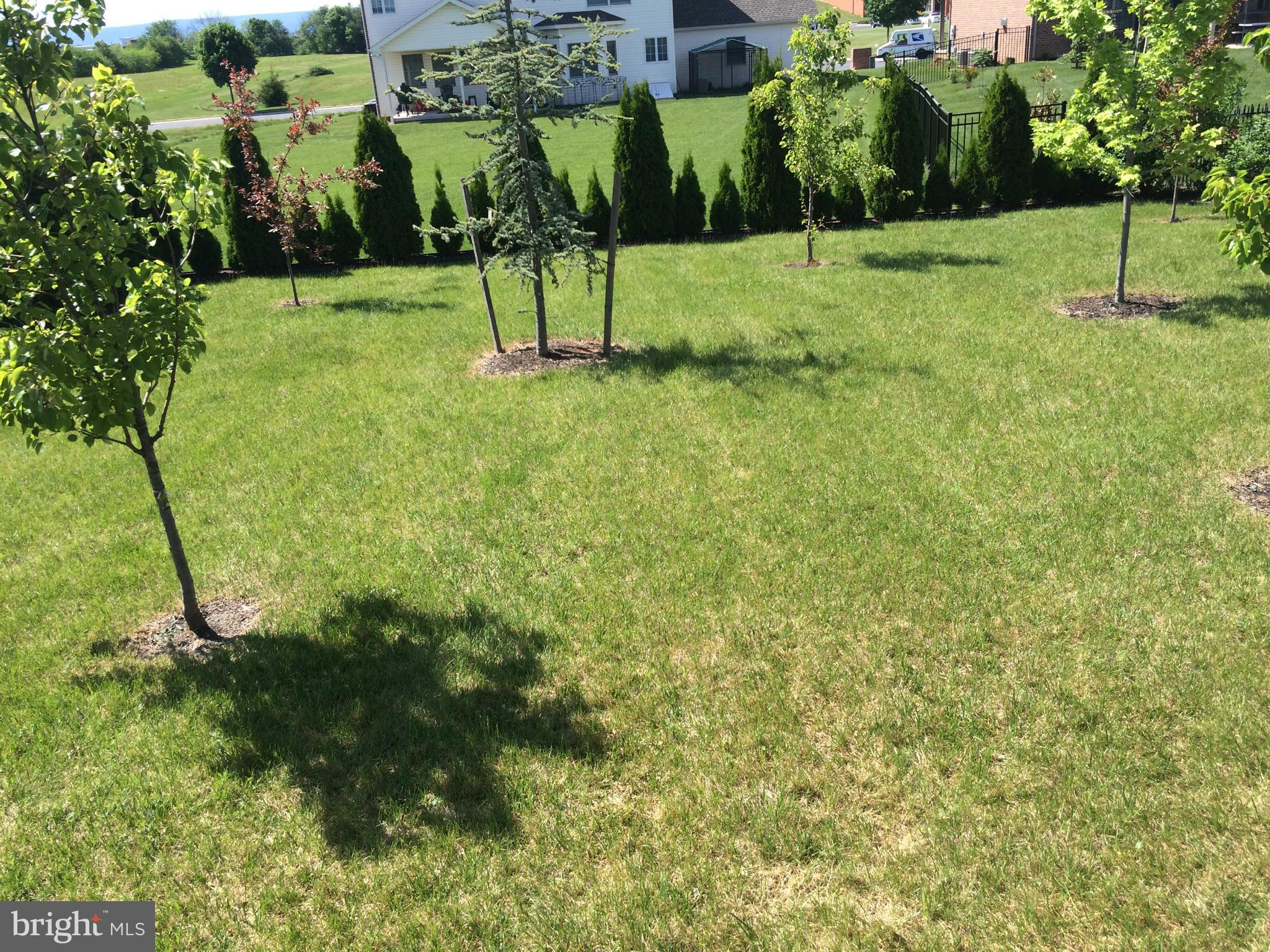 MAPLE RUN - Residential