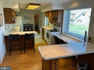 MOUNTAIN MEADOWS - Residential