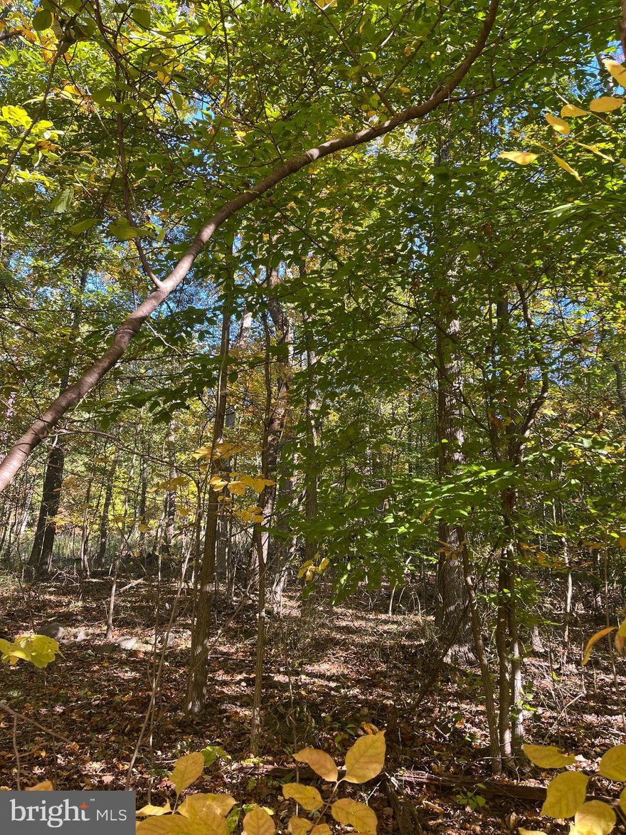 You'll definitely want to consider this beautiful 1.345 acre wooded lot off the beaten path as the perfect spot for your next home. This West Shore School District property is right off Big Spring Rd. Not quite enough acreage? The adjacent 3.746 acre lot (Lot 1 Big Spring Rd) is also for sale.