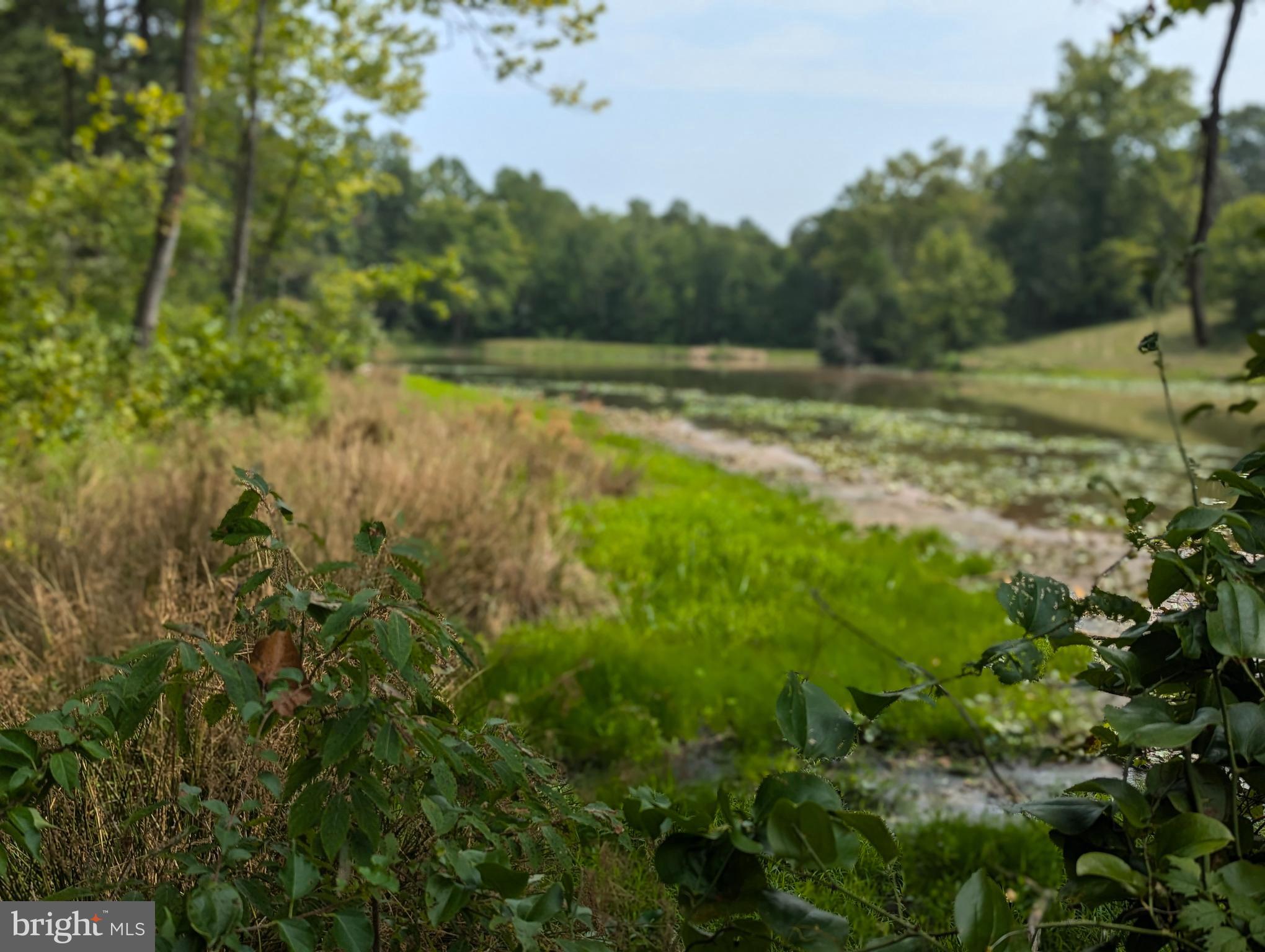 Bring your builder for this private sanctuary with this exceptional 14.84 total acre parcel of land, now available for purchase. Perfectly suited for those seeking a peaceful retreat, this has 12.38 acres of agriculturally zoned property, with 2.46 zoned residential - an approved perc test, site plan, and survey work upon request. This land is ready for your dream home or agricultural pursuits, making it an ideal choice for buyers who value both space and functionality.
The property boasts a picturesque pond, adding to its natural beauty and providing a serene setting for relaxation or recreational activities. Whether you envision building a custom home with expansive views, starting a hobby farm, or simply enjoying the tranquility of nature, this land delivers the perfect canvas for your aspirations.
This rare opportunity to own a sizable, private parcel of land with proven suitability for building and agricultural use won’t last long. Seize the chance to create your own secluded haven in a coveted location. Contact us today to explore this remarkable property and make your vision a reality.