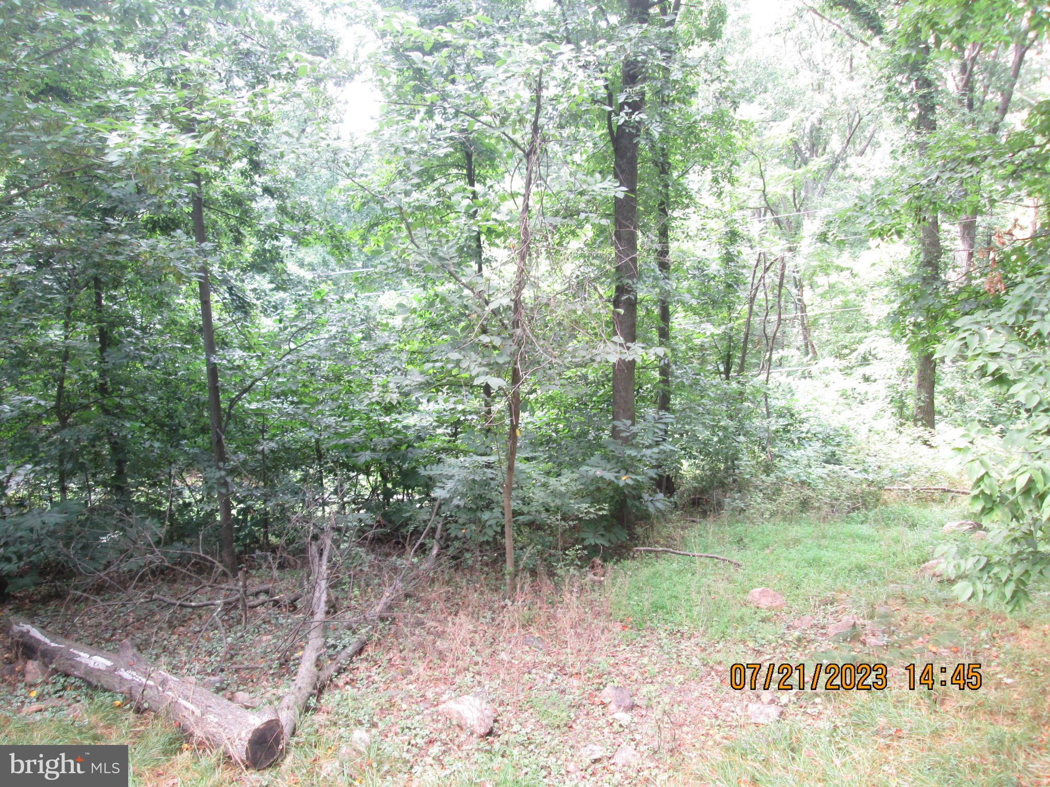 SHANNONDALE - Residential Lease