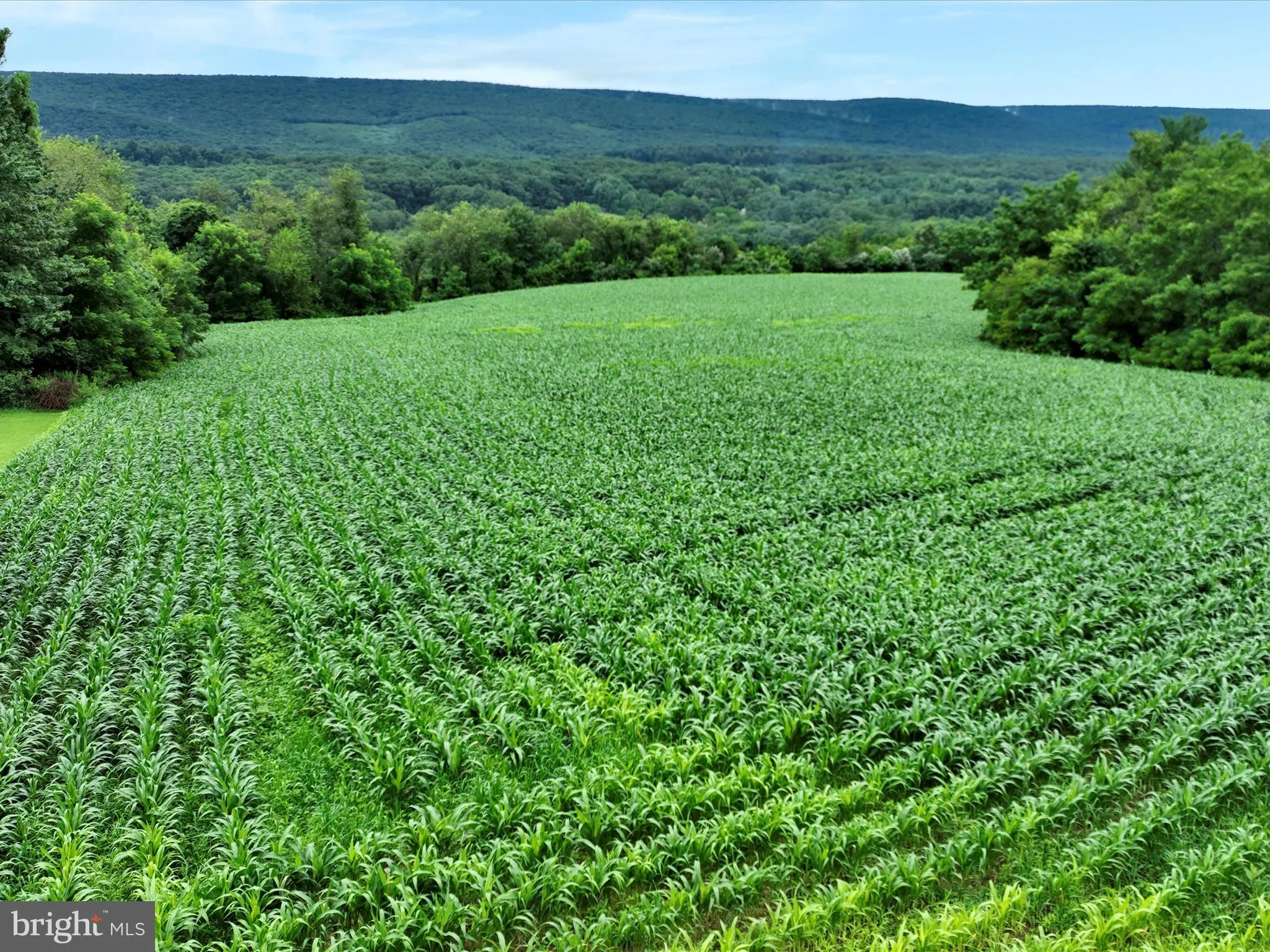Schuylkill Haven, Pennsylvania 17972, United States, ,Land,Pending,184234