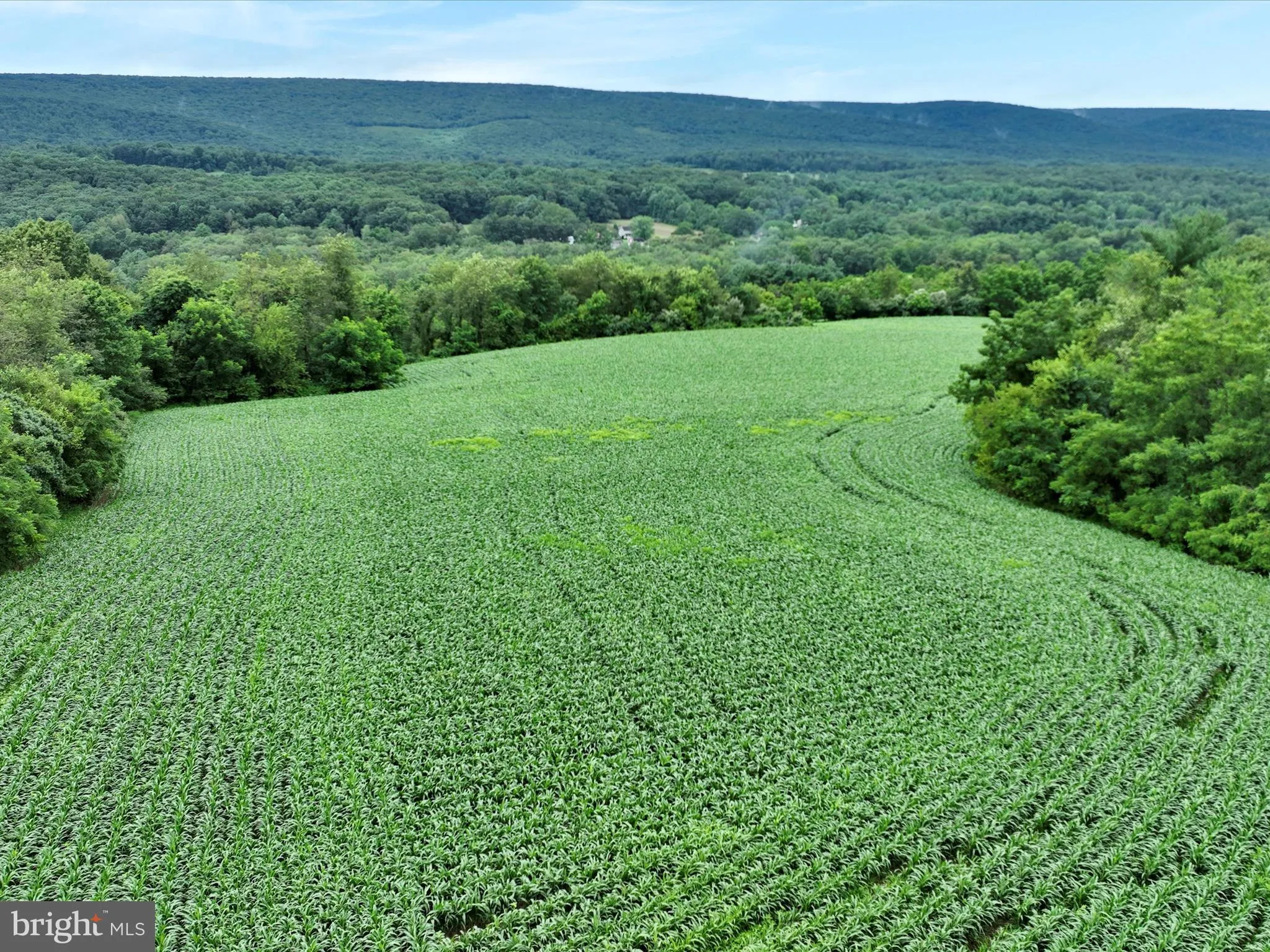 Schuylkill Haven, Pennsylvania 17972, United States, ,Land,Pending,184234