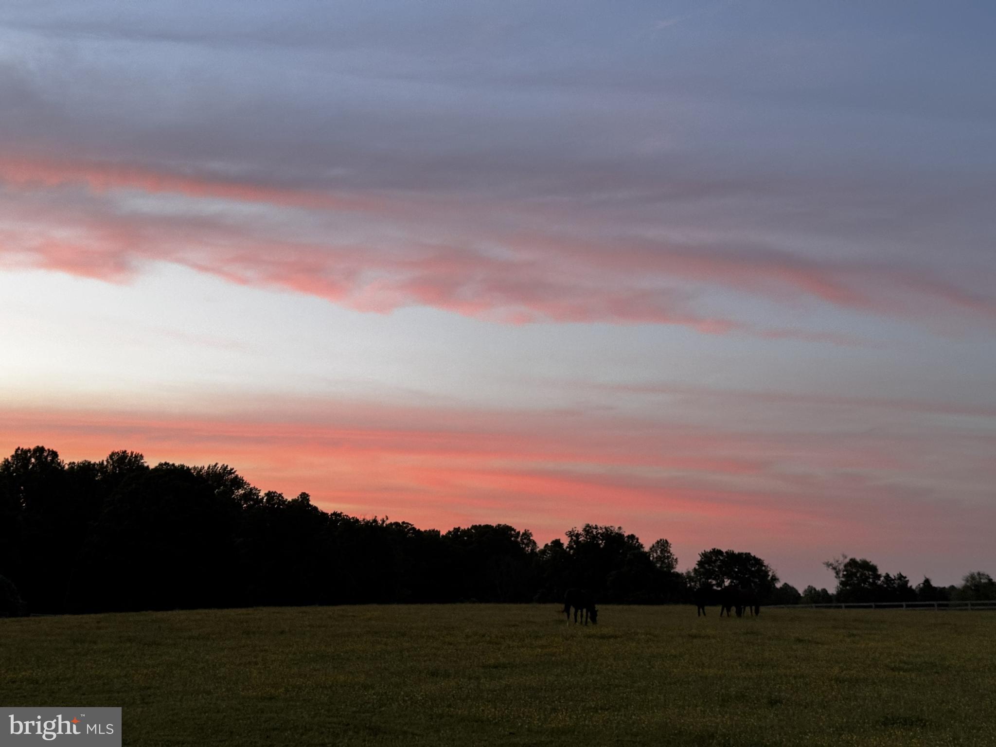 20030 PEACH TREE ROAD