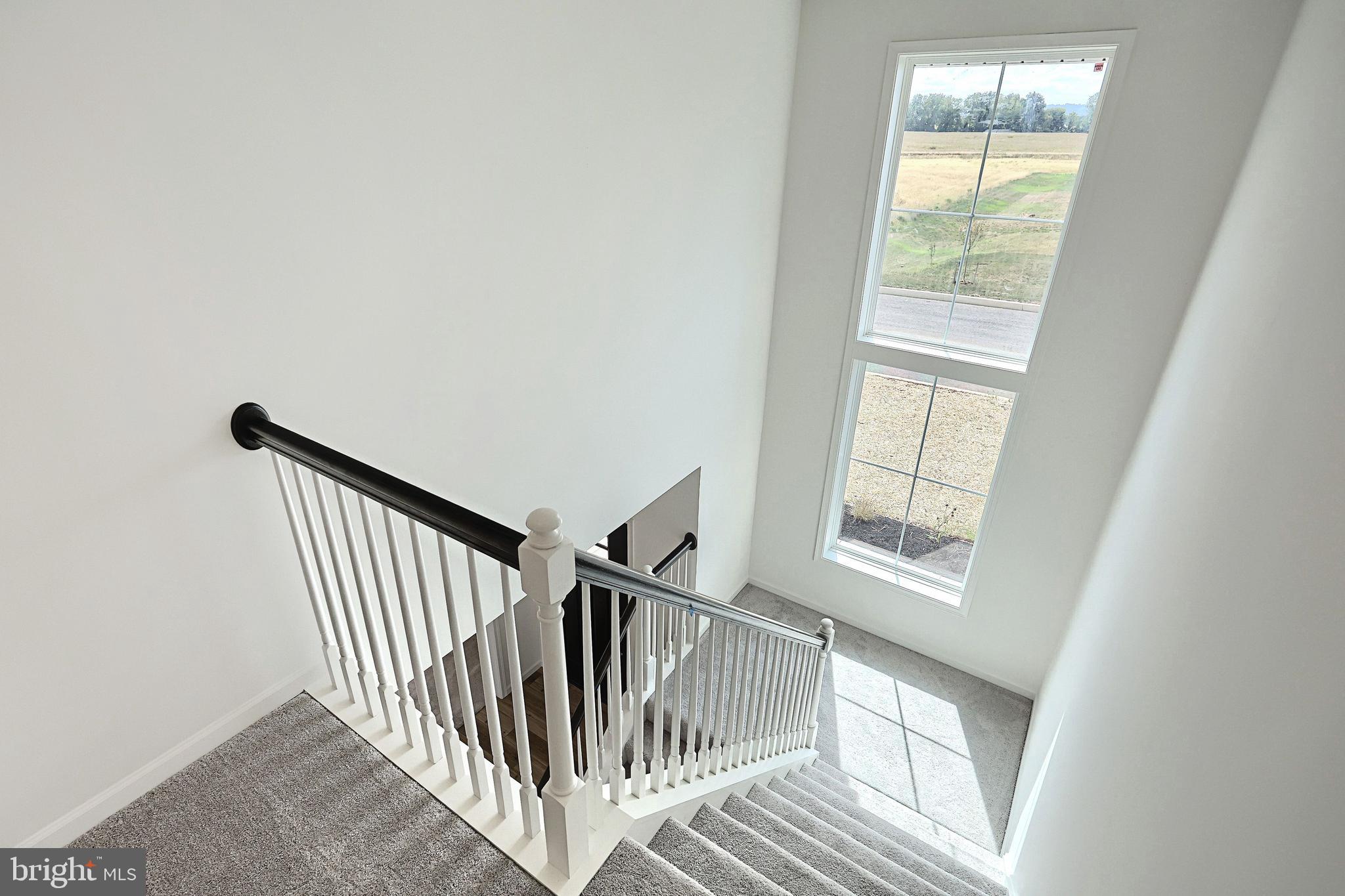 SUMMER LAYNE - Residential