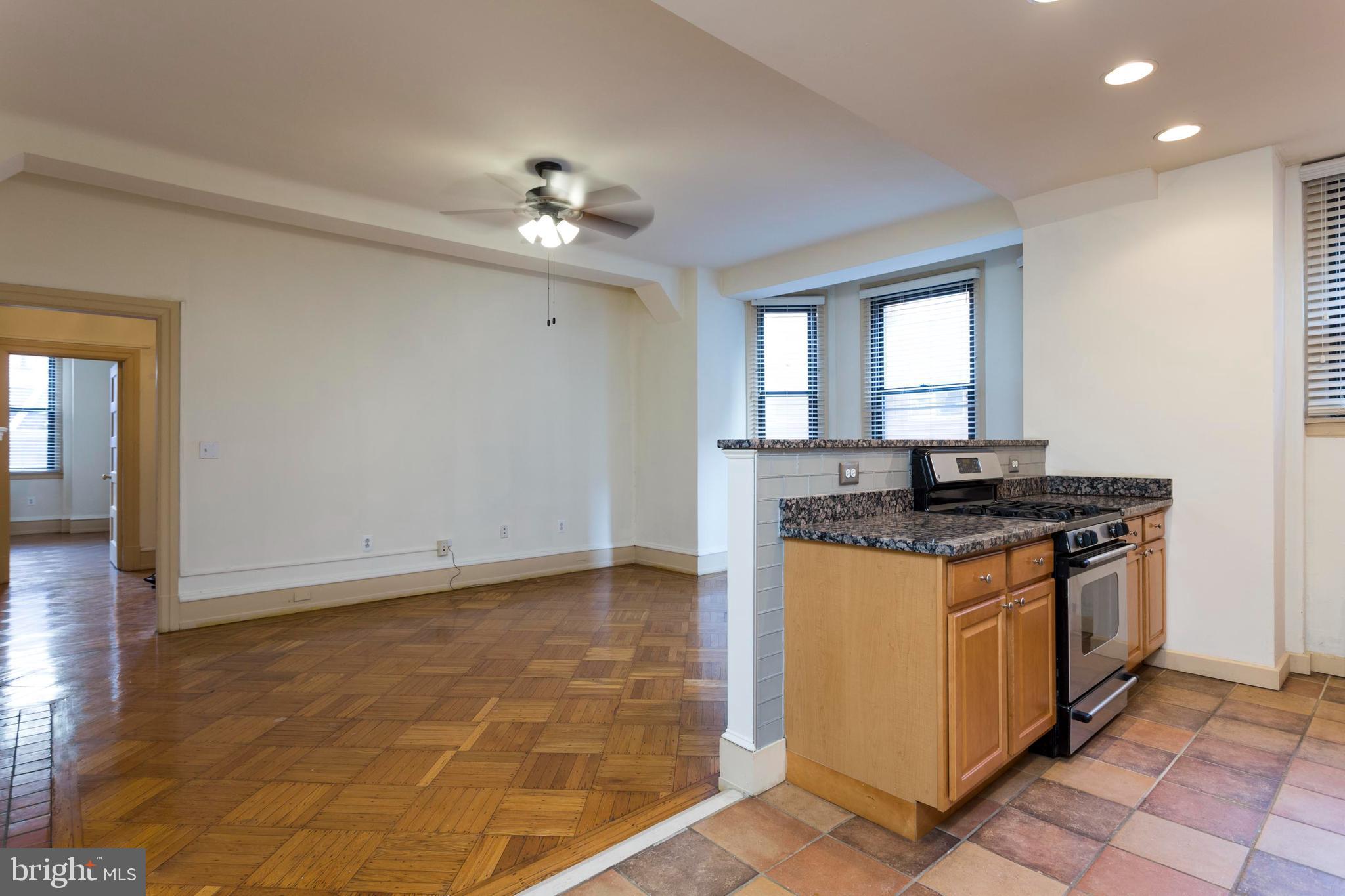 250 S 13TH STREET 3B
