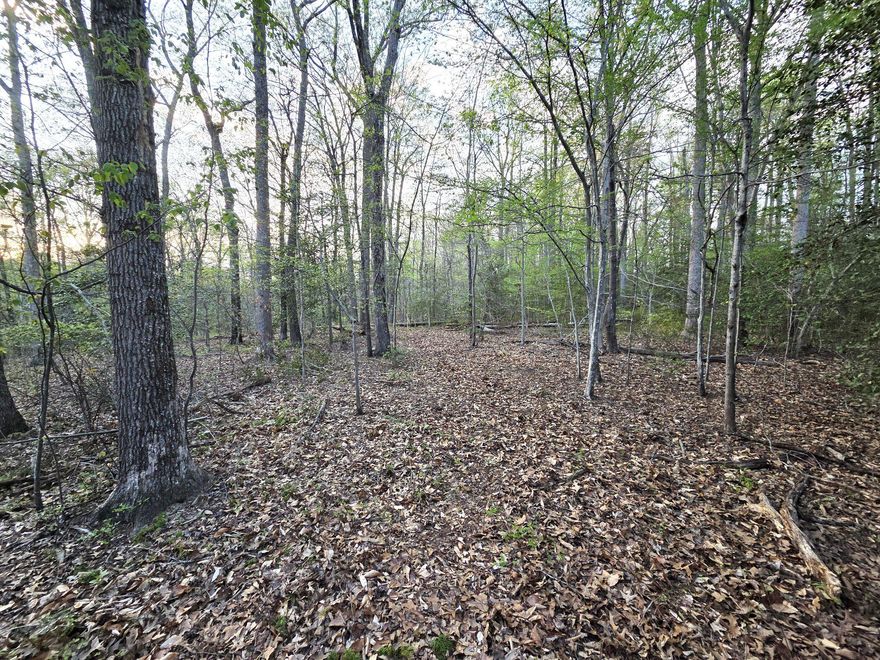 BRING YOUR OWN BUILDER!  2 approved PERCS, one in front allows you build out further in back! Lot is PERC APPROVED for a 5 bedroom house.  Gorgeous 2 acre treed lot close to the South River & the Bay . Surrounded by beautiful million dollar plus homes.  Overlooking a scenic ravine in back & surrounded by a wooded lot. Very beautiful hideaway on a hill in Anne Arundel County!  Davidsonville has quick access to Route 50 and Route 97 for commuting to Washington, D.C., Annapolis, the Fort Meade area, Baltimore, the Naval Academy, the Anne Arundel County Medical Center, BWI Airport & more!