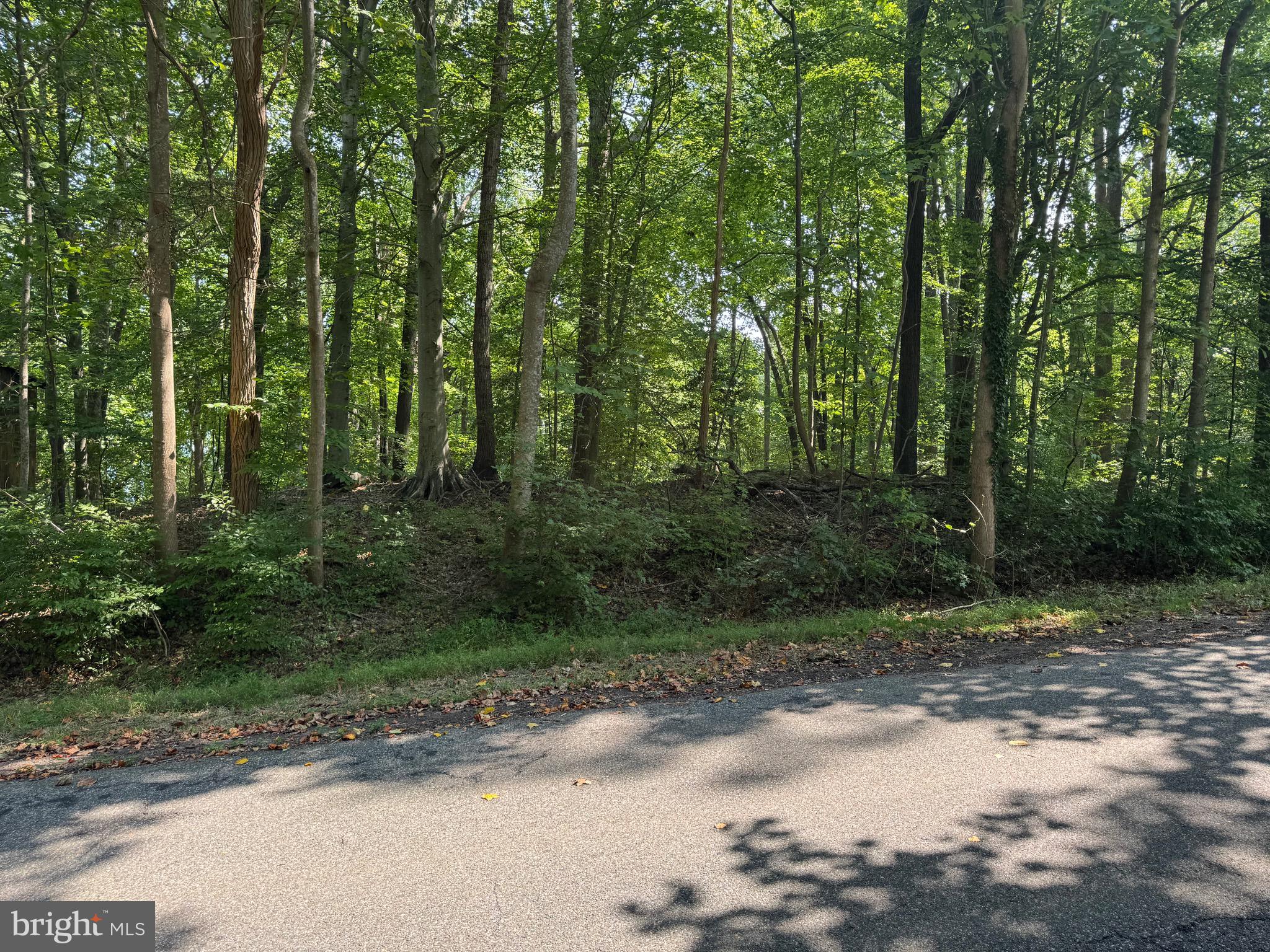 4685 CAMP ROOSEVELT DRIVE