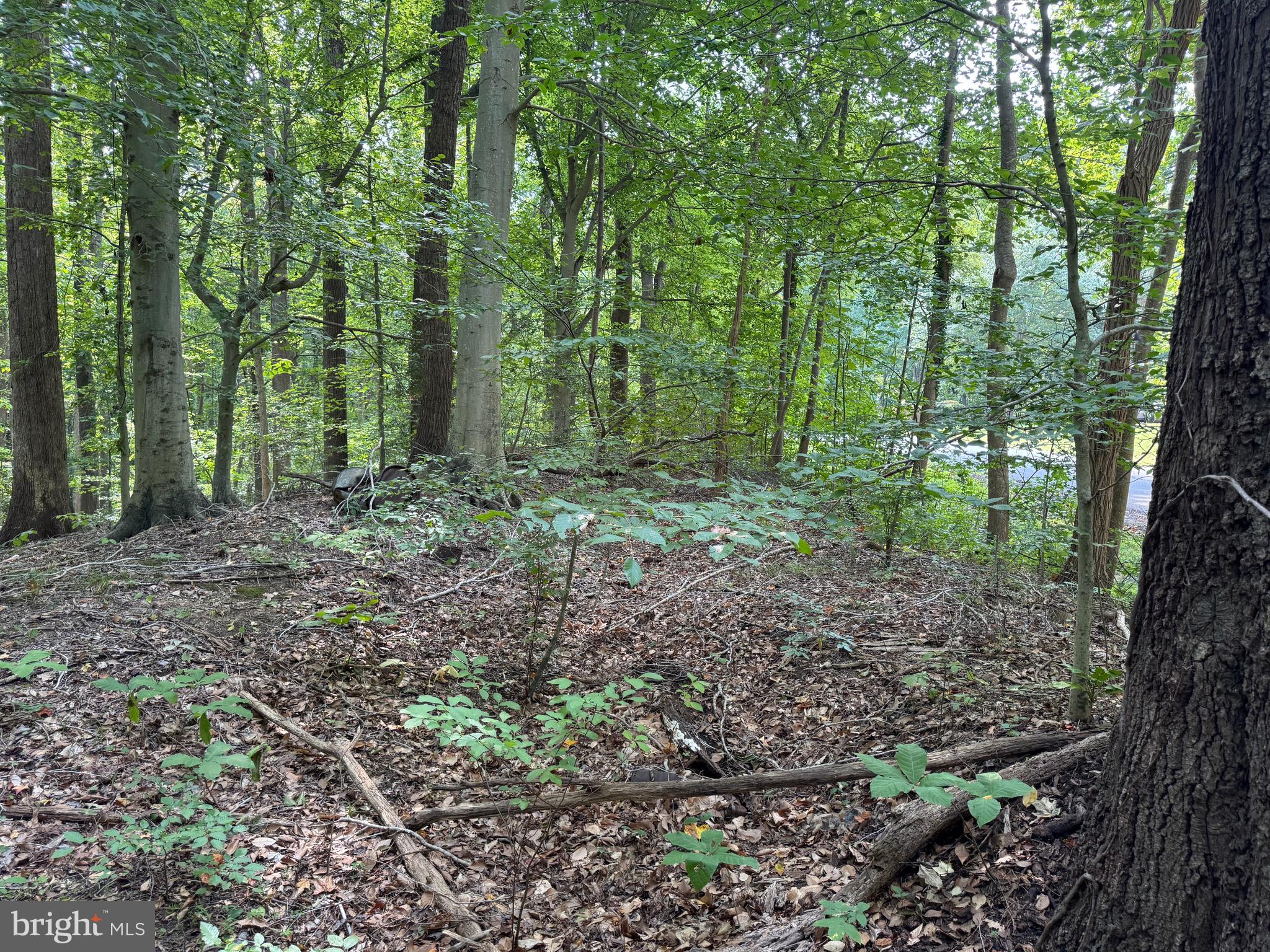 4685 CAMP ROOSEVELT DRIVE