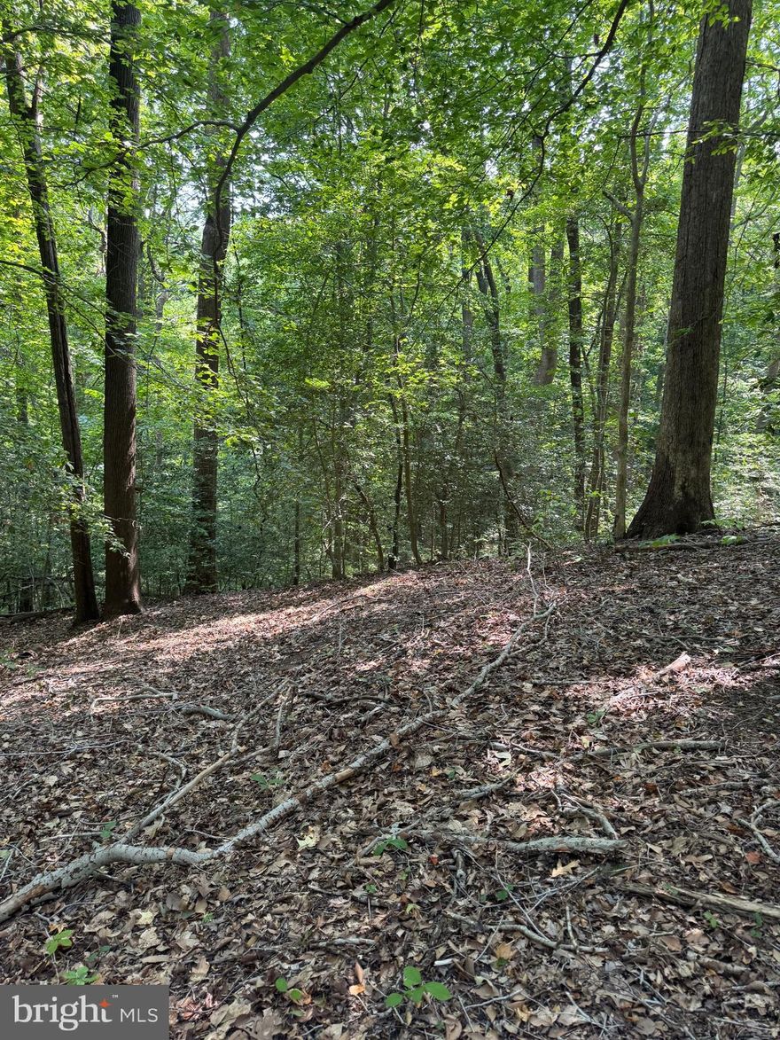 Beach and pier access on the Chesapeake Bay. Wooded 1.75± acre homesite with a partial water view. Located in an established waterfront community offering natural privacy and coastal ambiance.