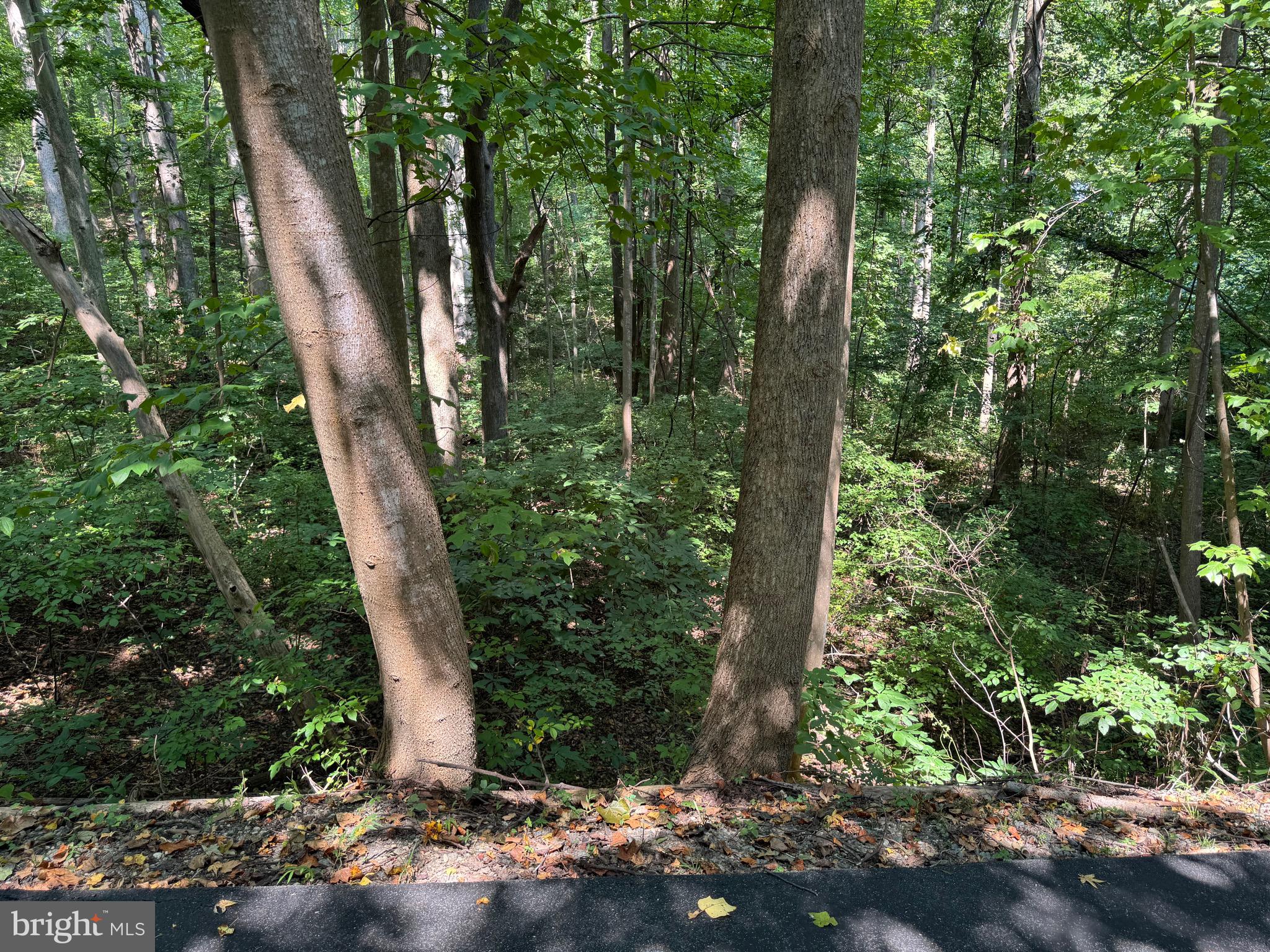 4685 CAMP ROOSEVELT DRIVE