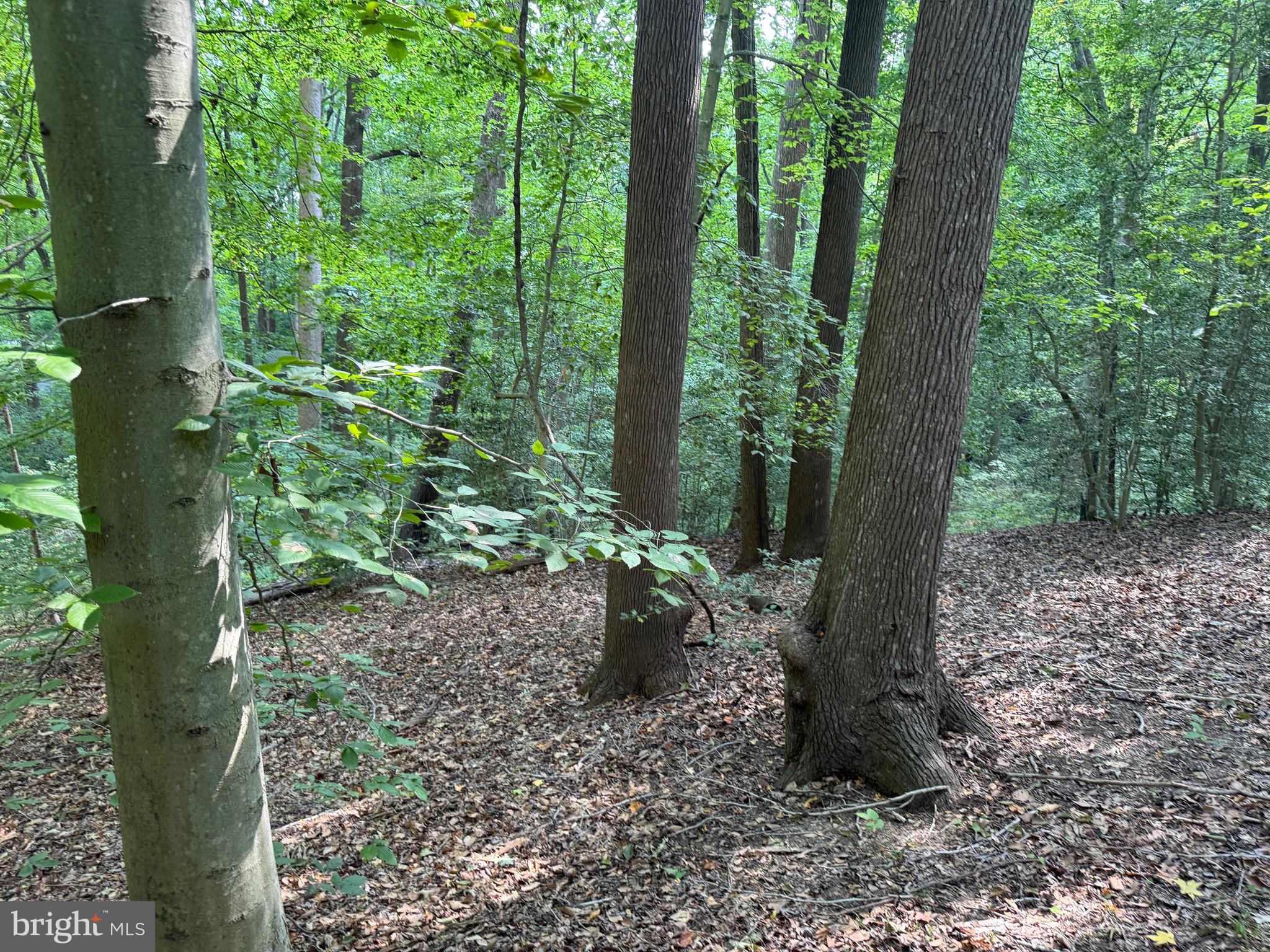 4685 CAMP ROOSEVELT DRIVE