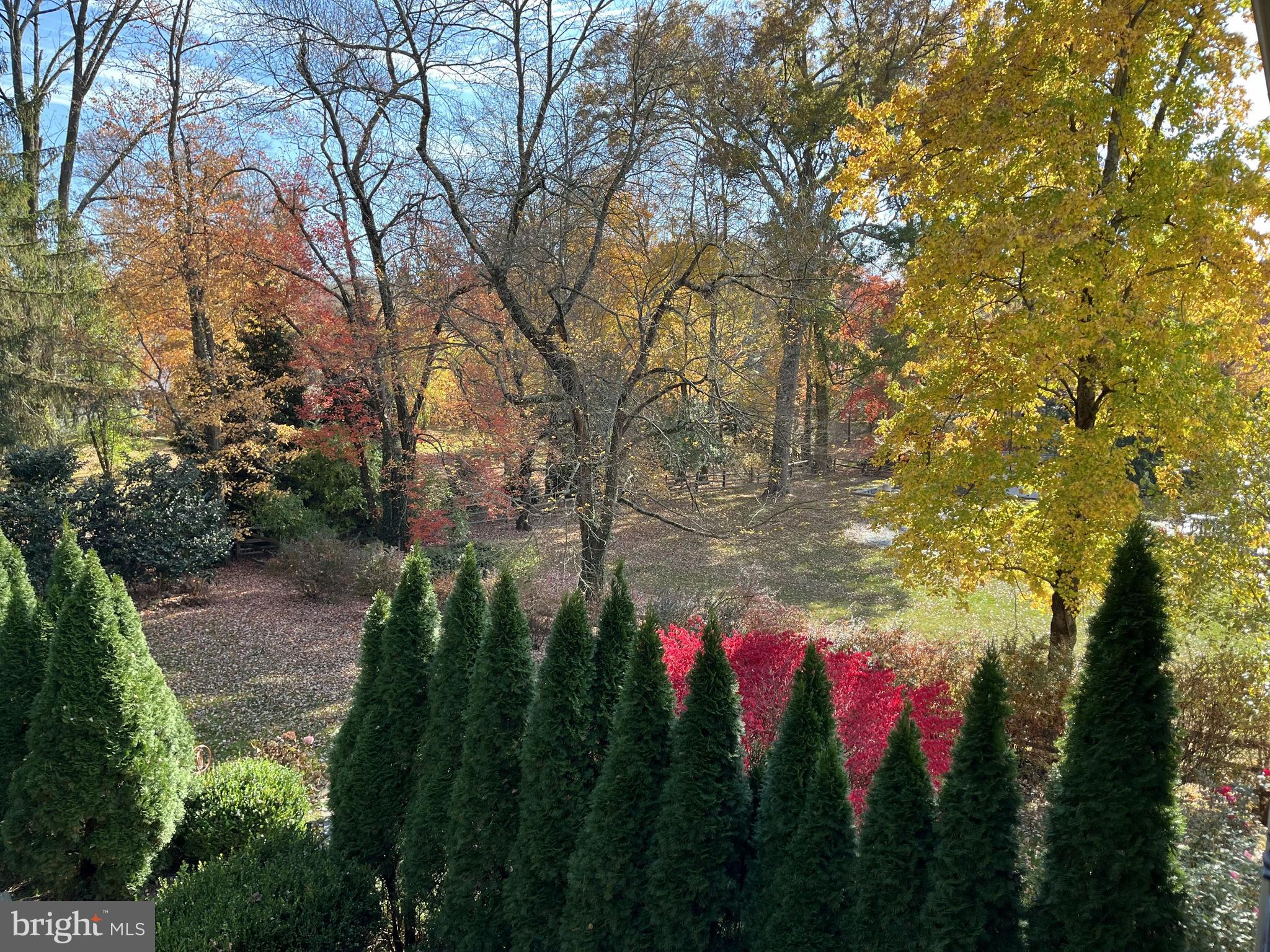 BRYN MAWR - Residential