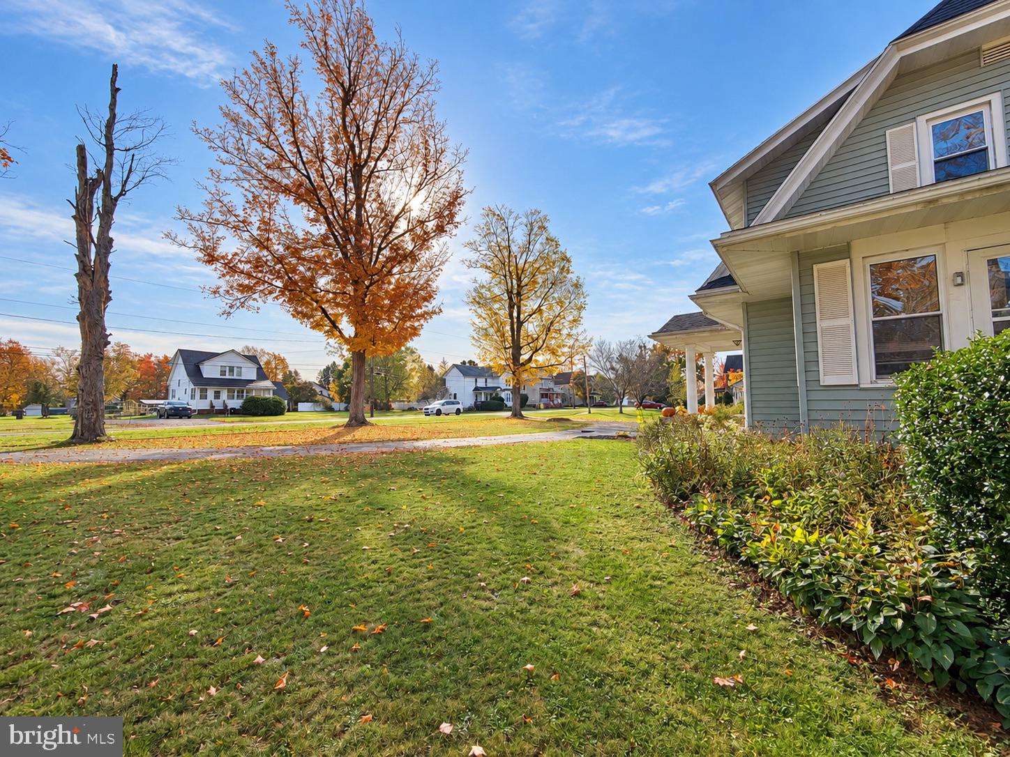 9 MCCLELLAN AVENUE