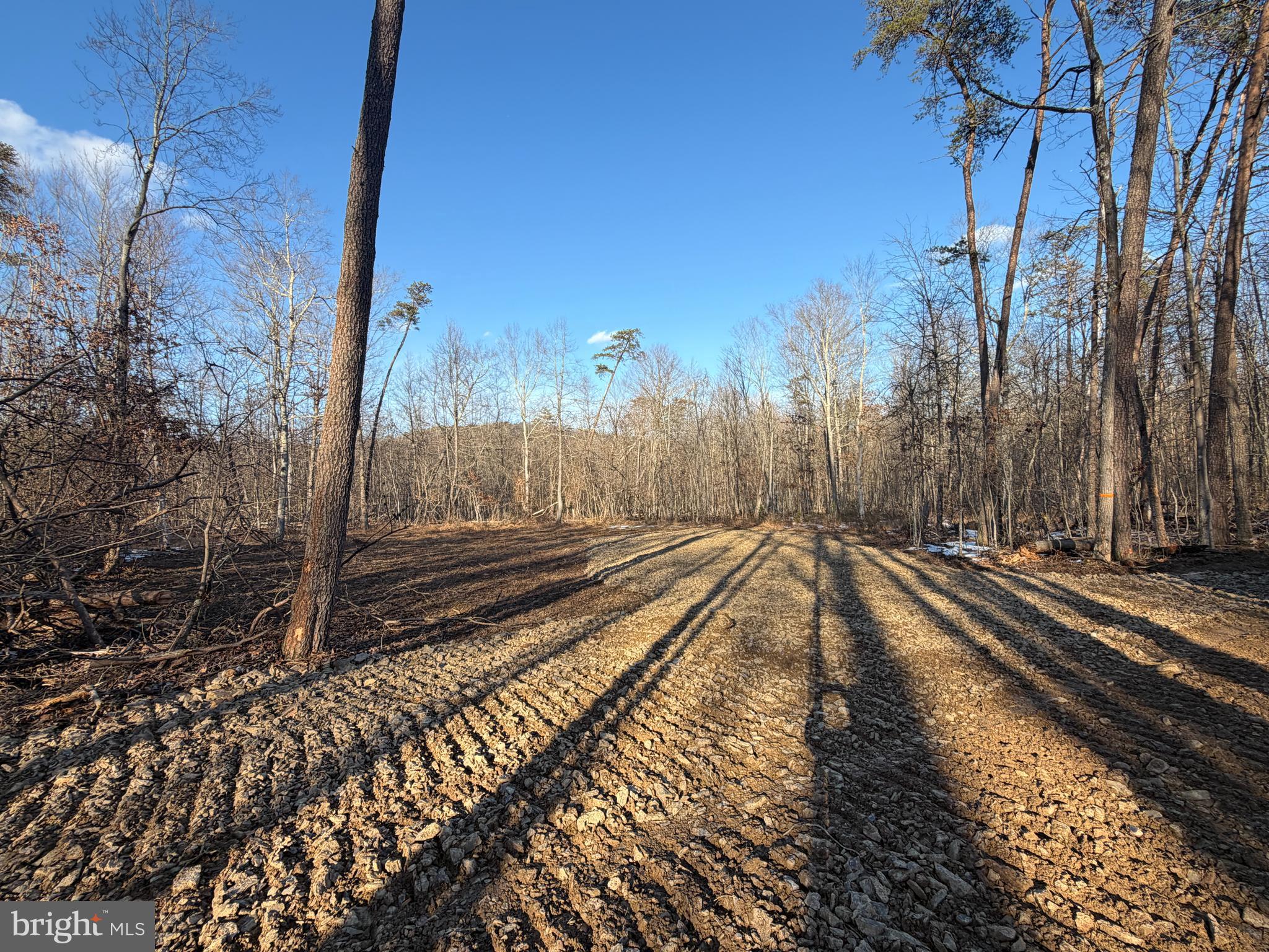 LAKE FERNDALE - Land