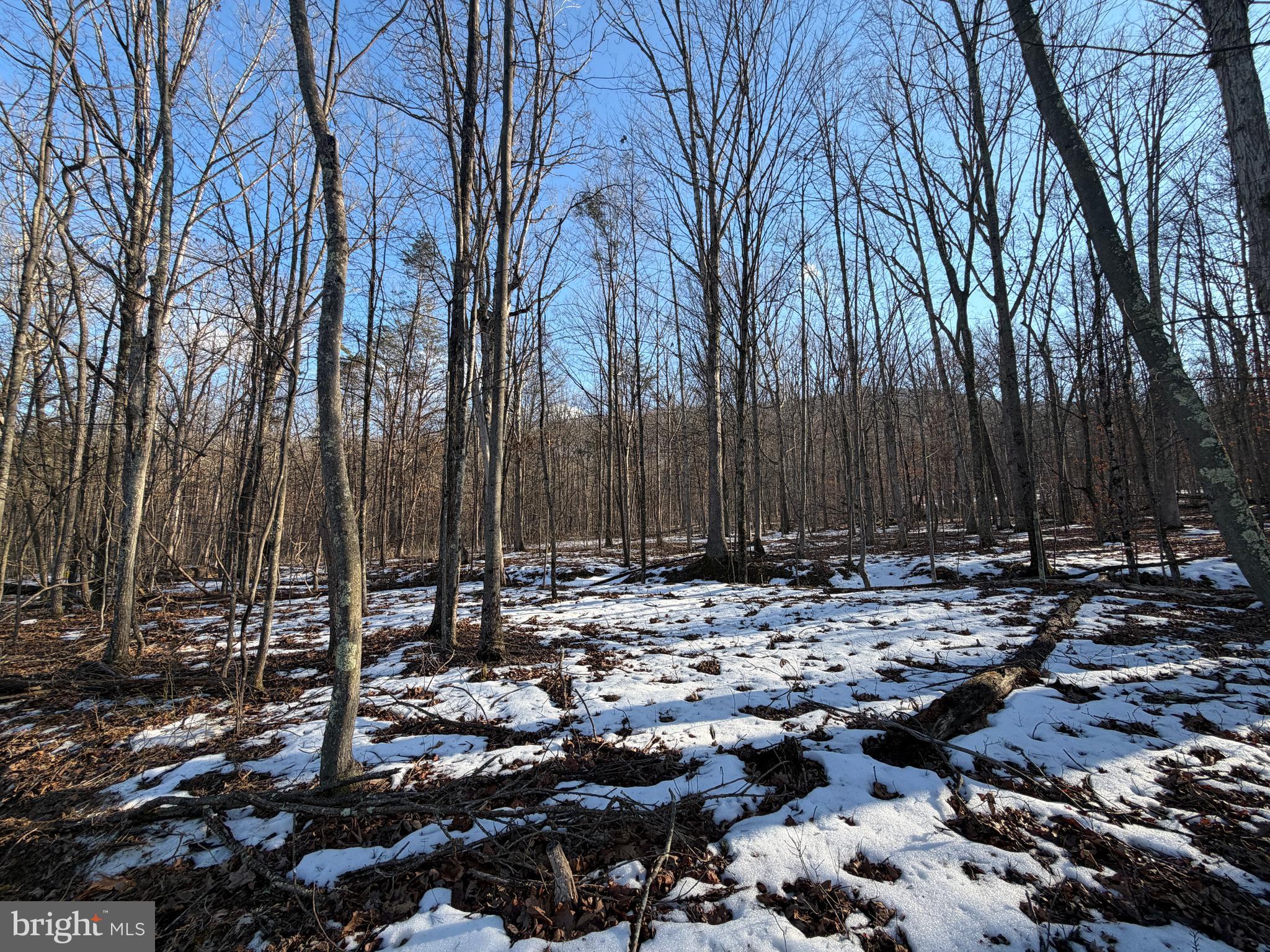 LAKE FERNDALE - Land