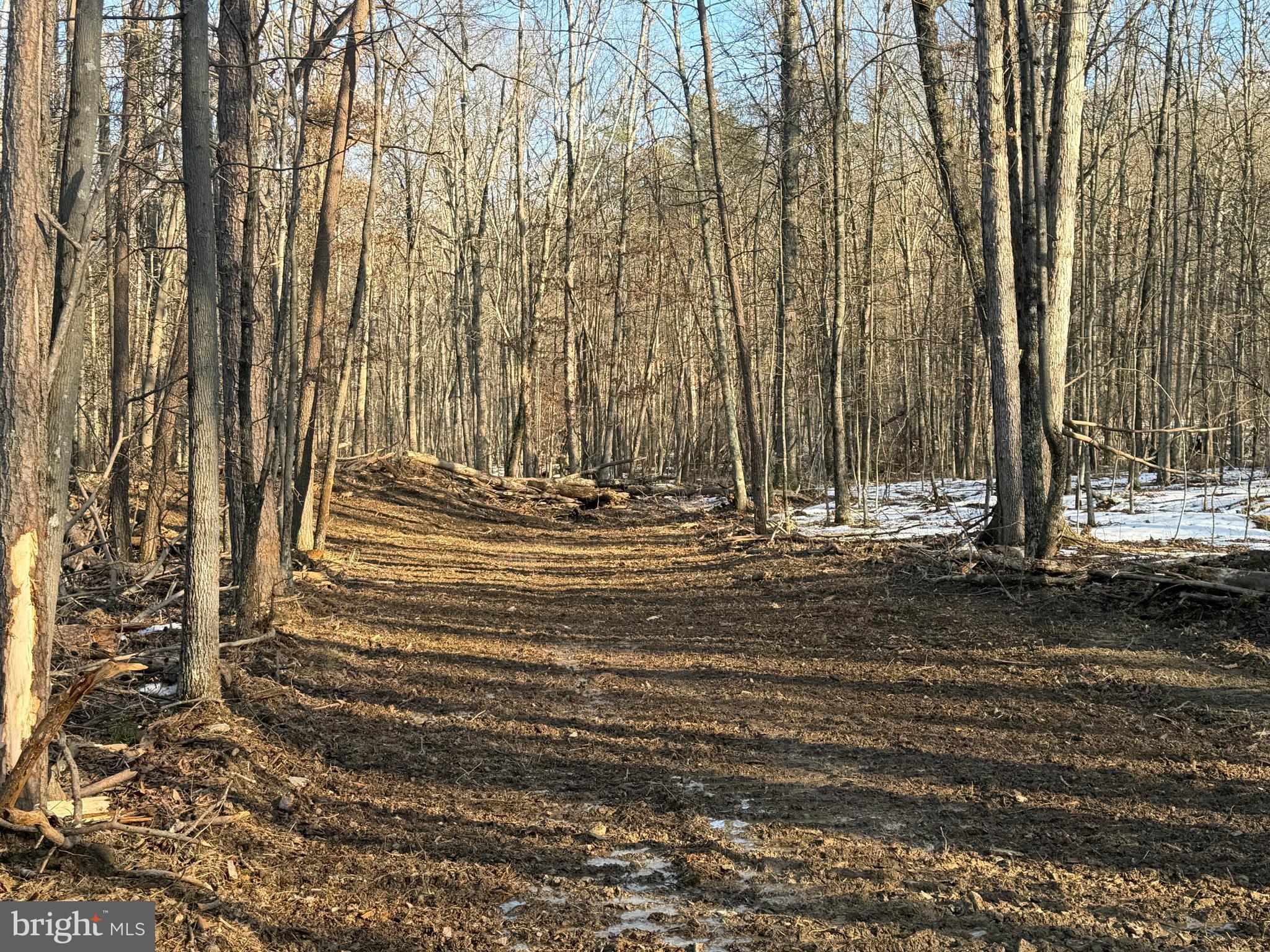 LAKE FERNDALE - Land