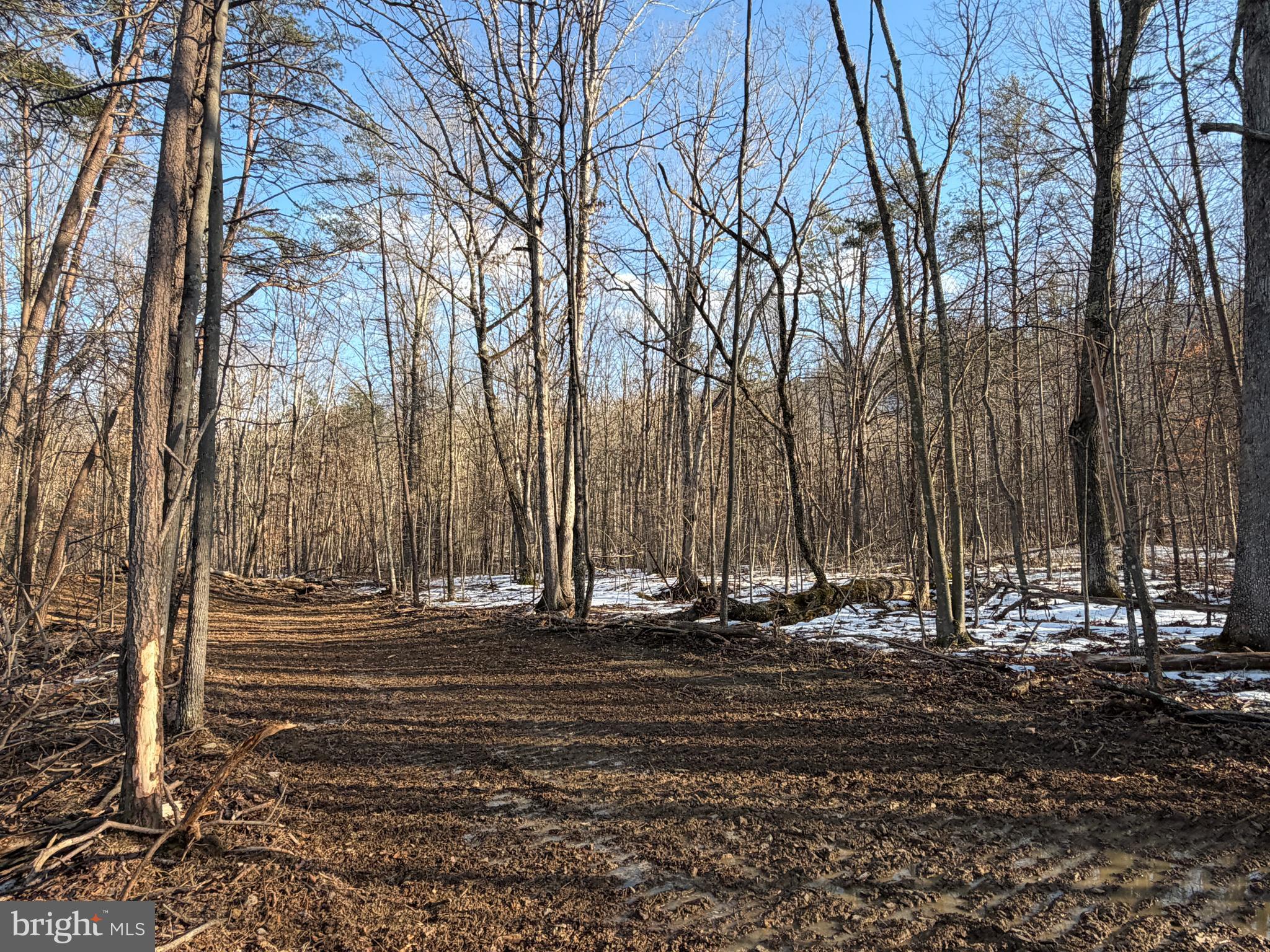 LAKE FERNDALE - Land