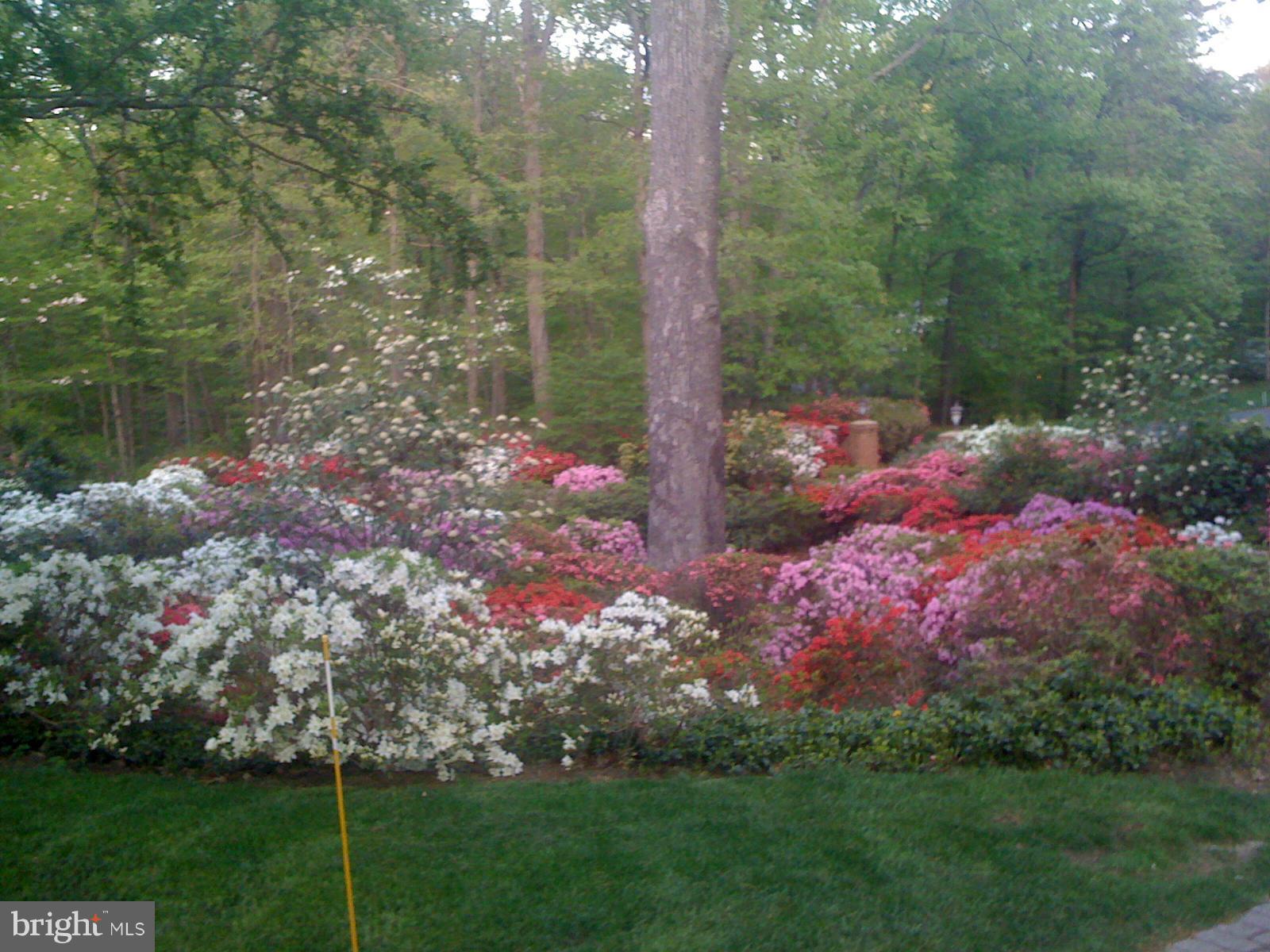 HARBOR HILLS - Residential