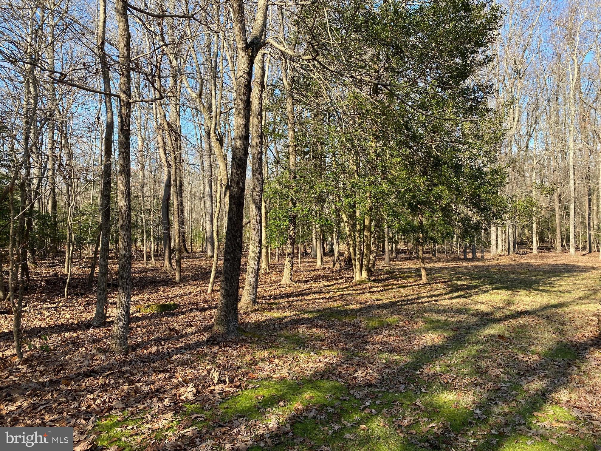 POPLAR HILL SUB - Residential