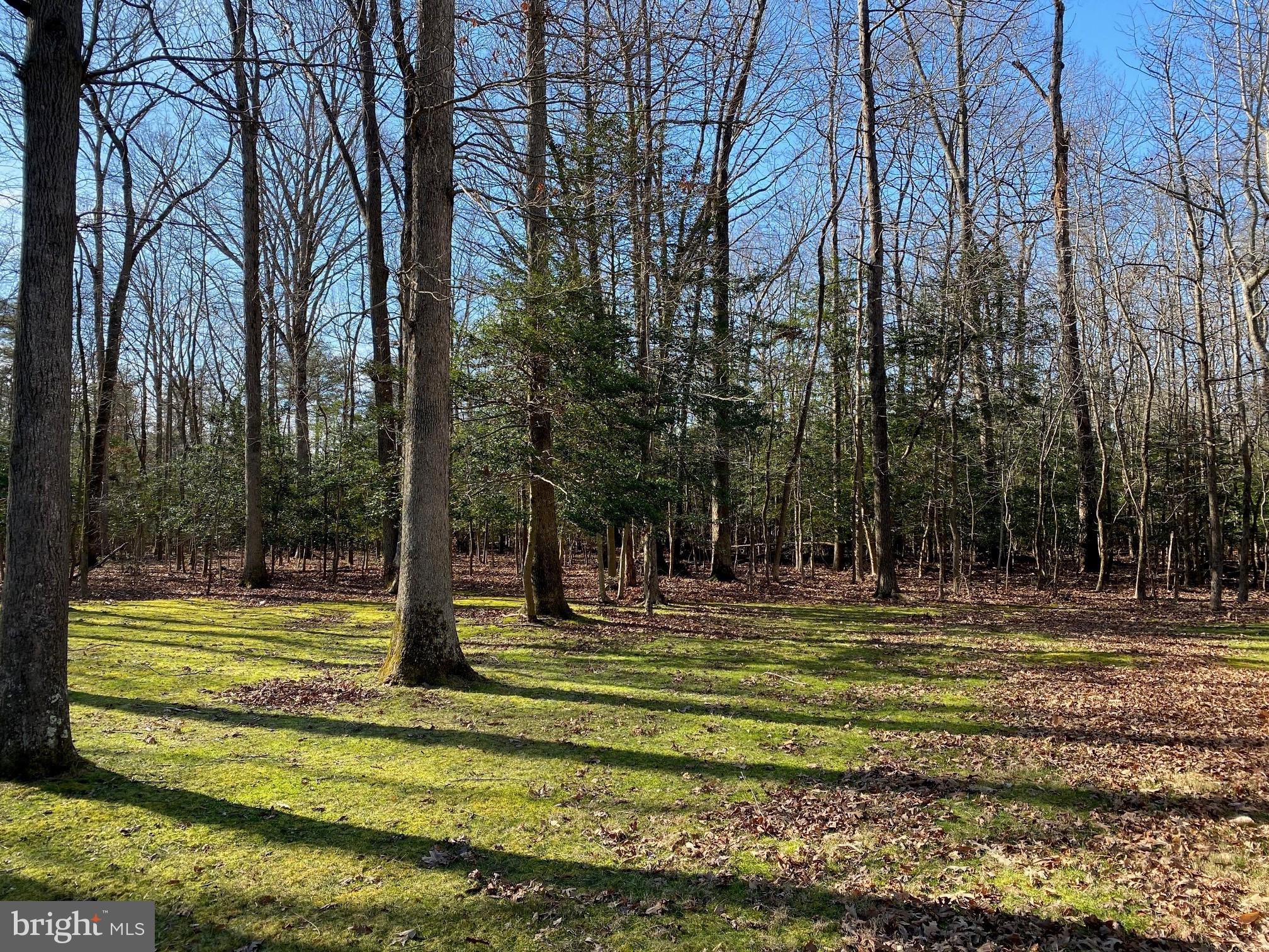 POPLAR HILL SUB - Residential