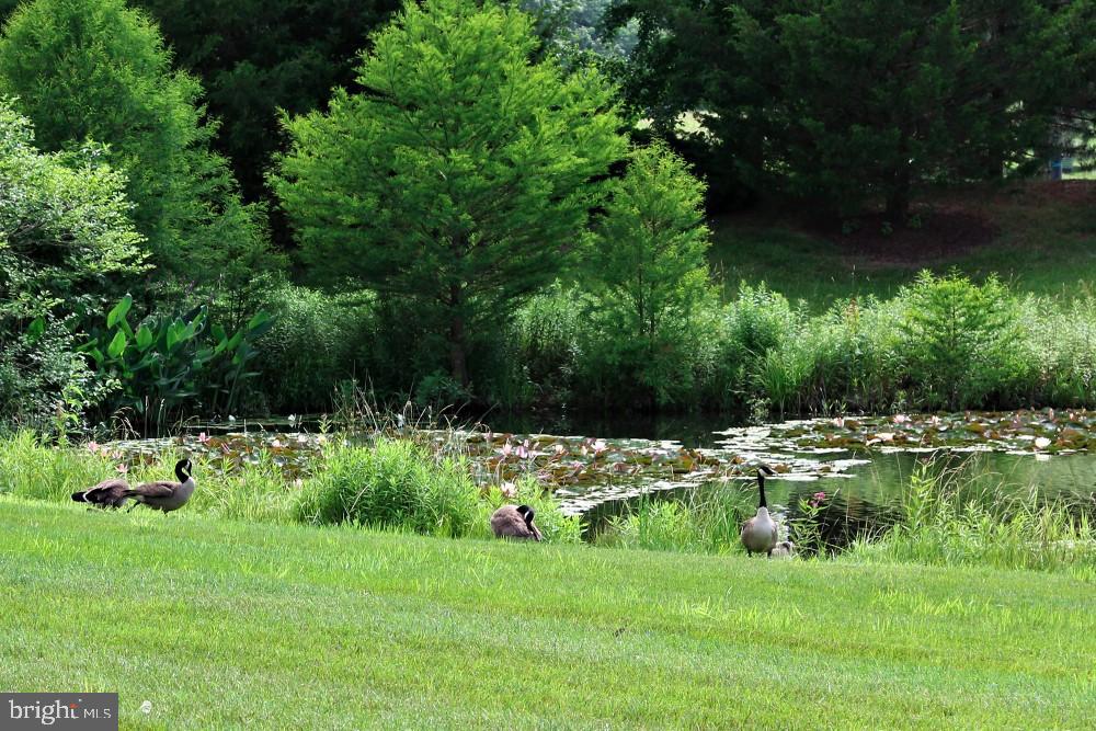 EASTON CLUB EAST - Residential