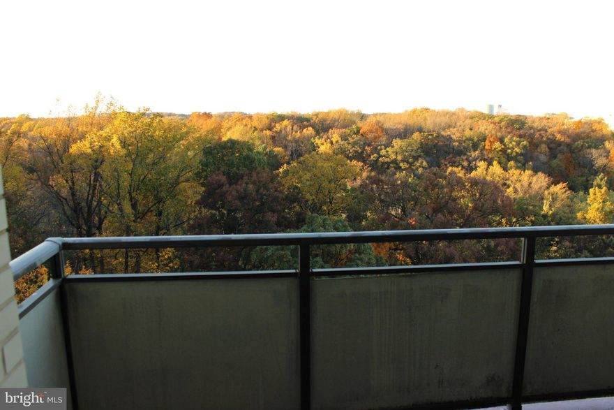 Rare opportunity to own this gorgeous 1,117 Sqft unit in the Promenade North building. Located on a higher floor of the building with unobstructed above tree-line views, the quieter unit offers two bedrooms/one bath, with an amazing amount of closet space. The recently updated kitchen features stainless steel appliances, gas cooking, granite countertop and an over-the-range built-in microwave. The living and dining areas open to the balcony, creating an abundant amount of natural light making it a bright and airy space. The unit also features an updated bathroom in pristine condition. An assigned parking space near the entrance conveys with the unit.

The Promenade offers resort‑style amenities including indoor and outdoor pools, sauna, hot tub, tennis and pickleball courts, racquet clubhouse, and a state‑of‑the‑art fitness center. Building amenities include 24‑hour gated security, front desk service, on‑site retail and dining and ample guest parking.
Conveniently located near Medical Center metro station on the Red Line, close to restaurants, shops, and the Capital Crescent Trail, with Ride‑On bus service to NIH /and Walter Reed and Bethesda metro stations.
Monthly co-op fee includes all utilities and real estate taxes.