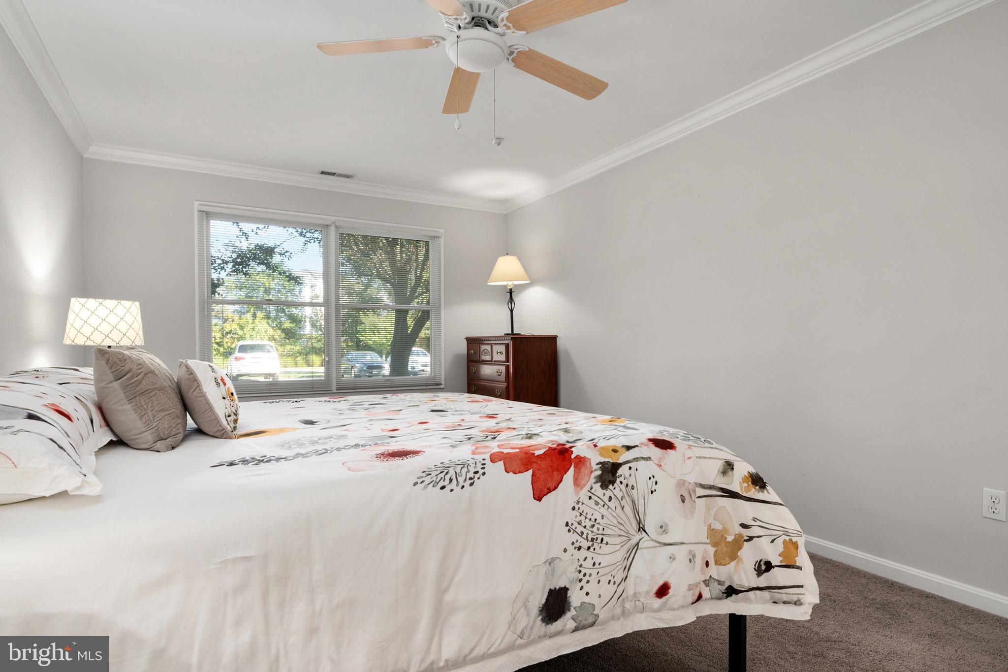 BAYSIDE - Residential