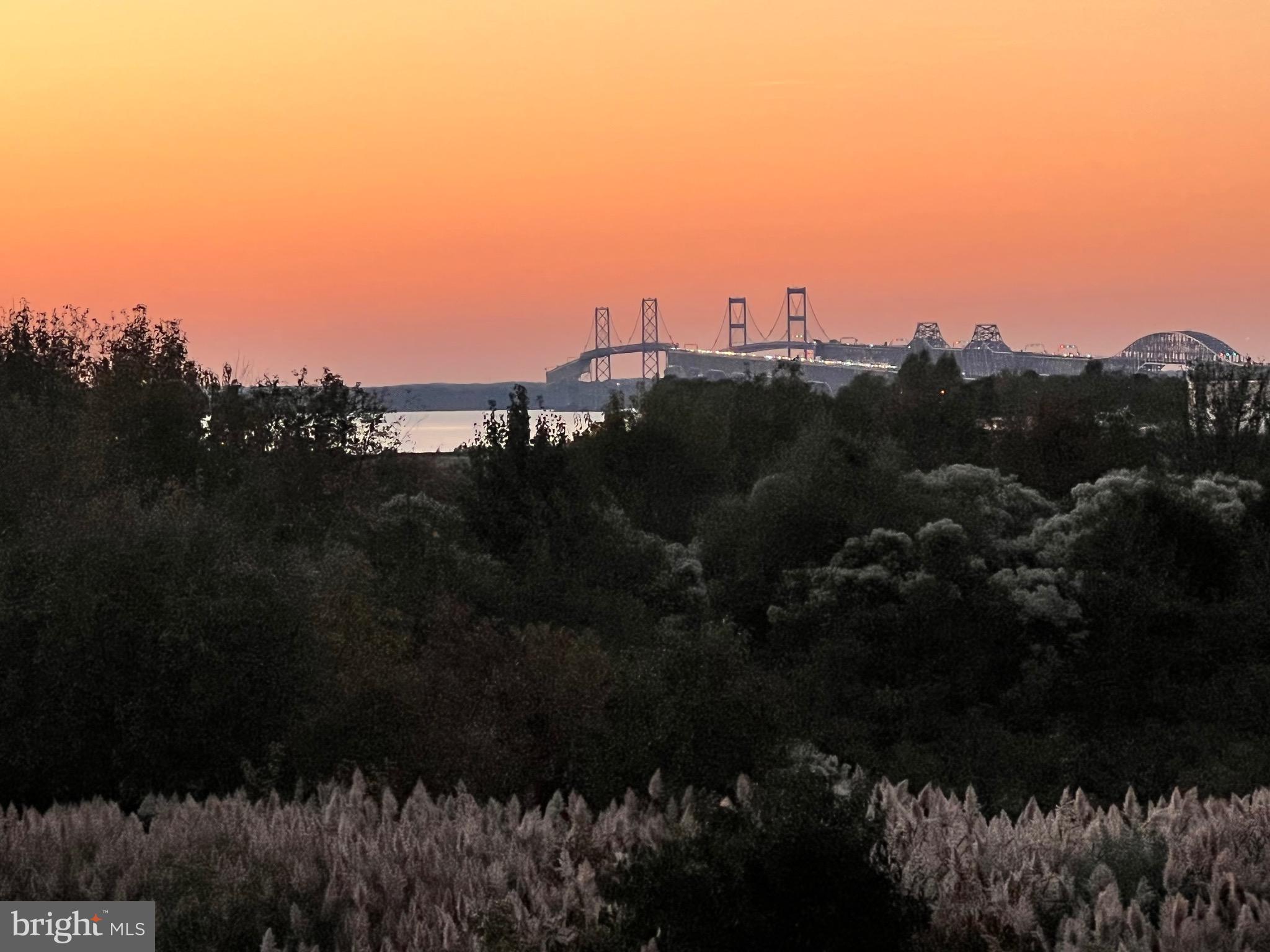 ELLENDALE - Residential Lease