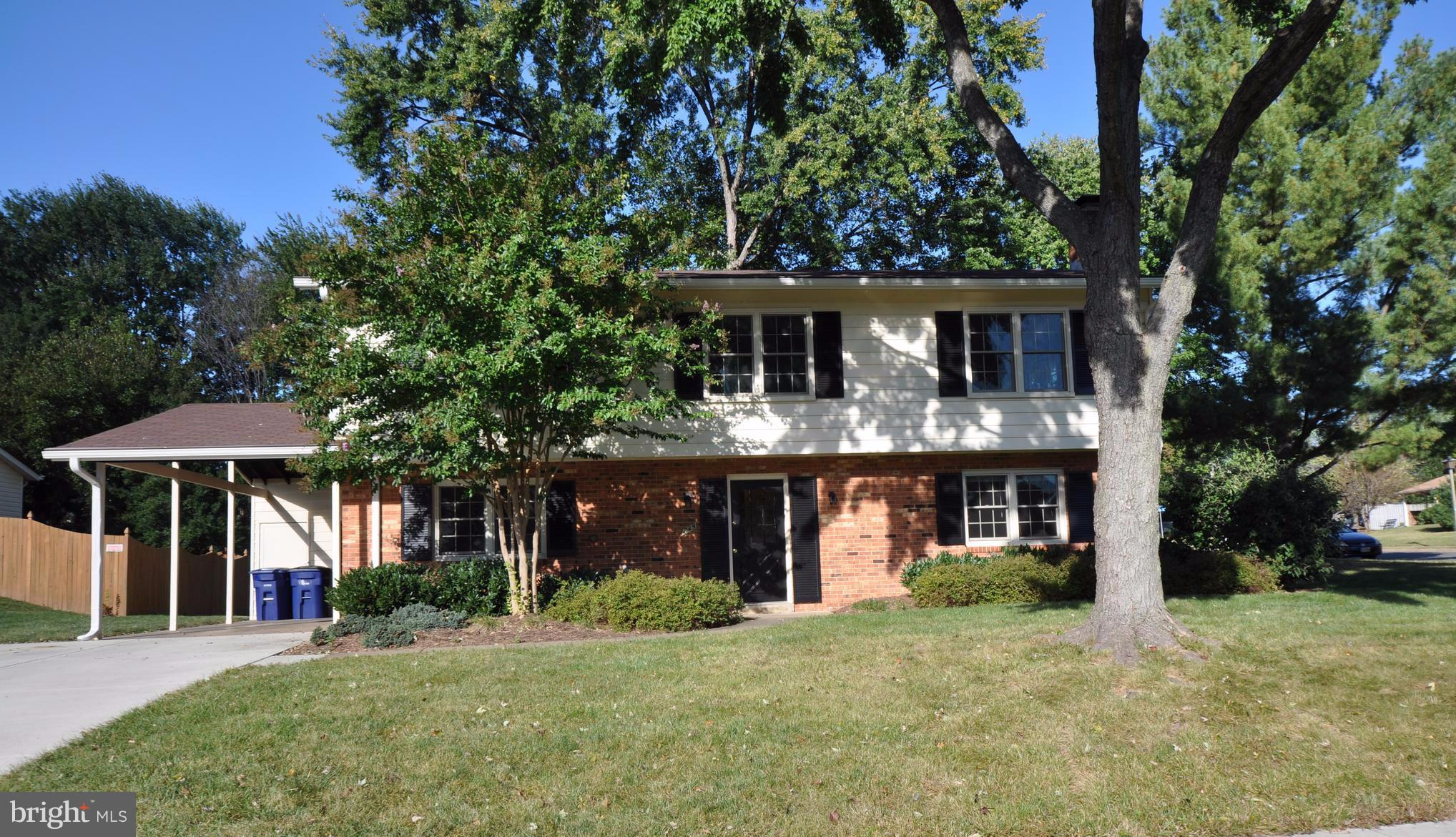 CHELMSFORD - Residential Lease